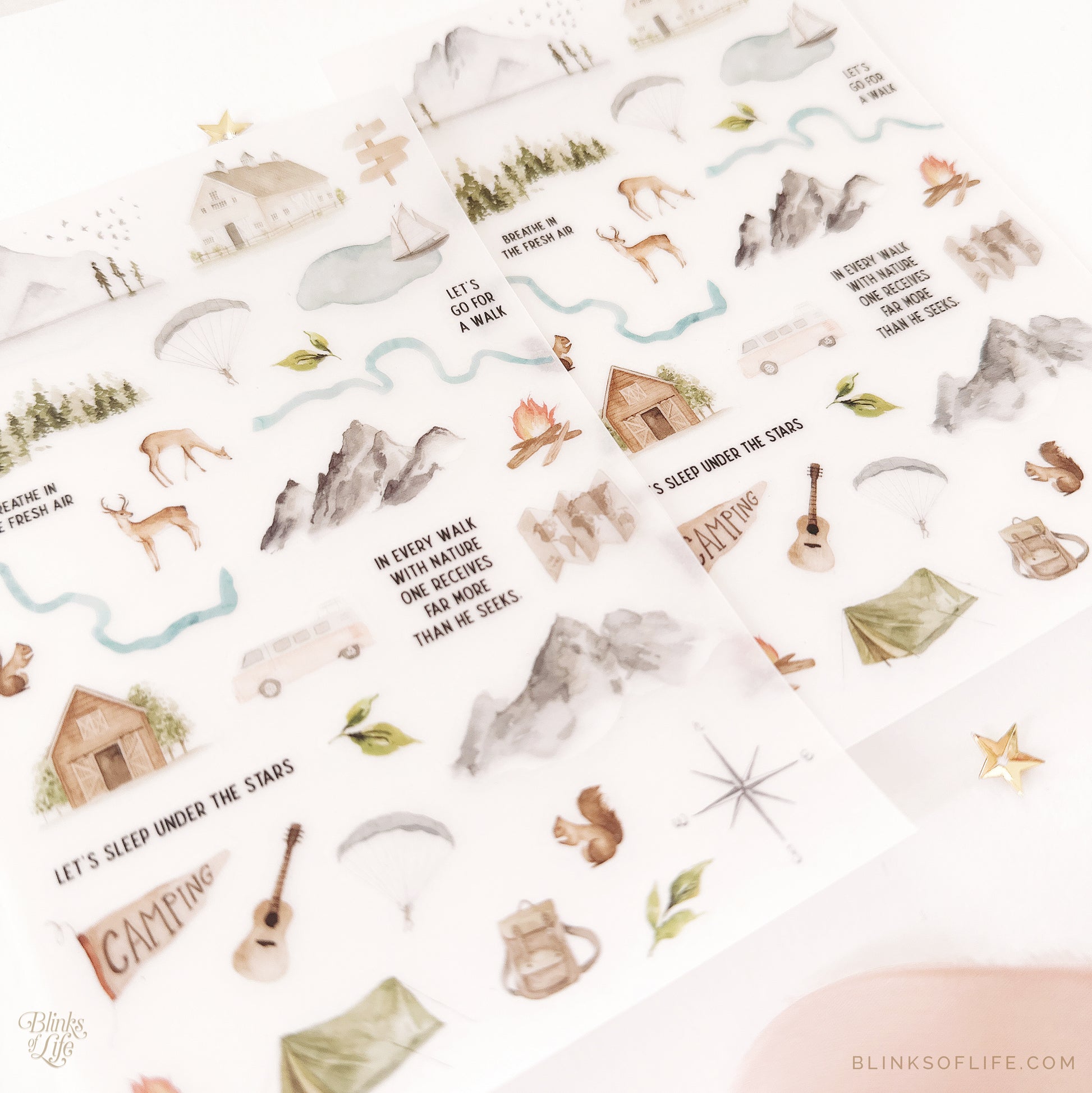 Blinks of Life - Botanical Transfer Stickers - Print-On Rub-On Stickers