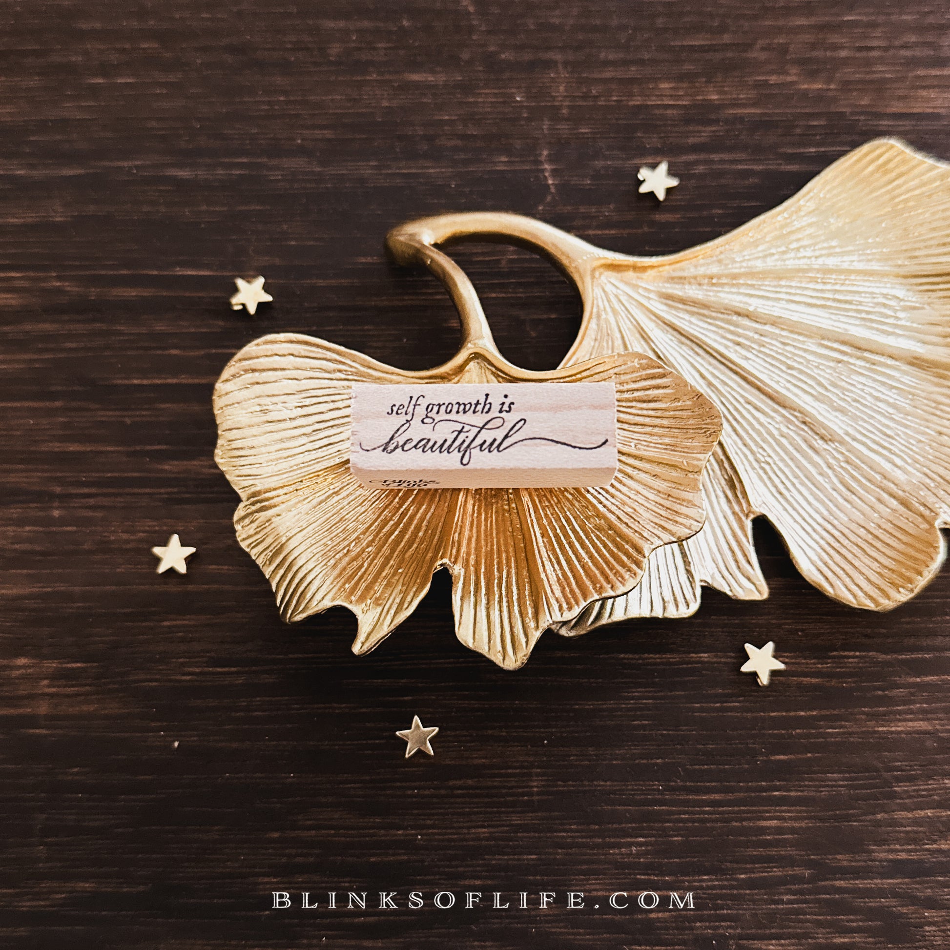 Blinks of Life - Wooden Rubber Stamp - Journal Quote - Mini Daily Reminders for Bujo Planner