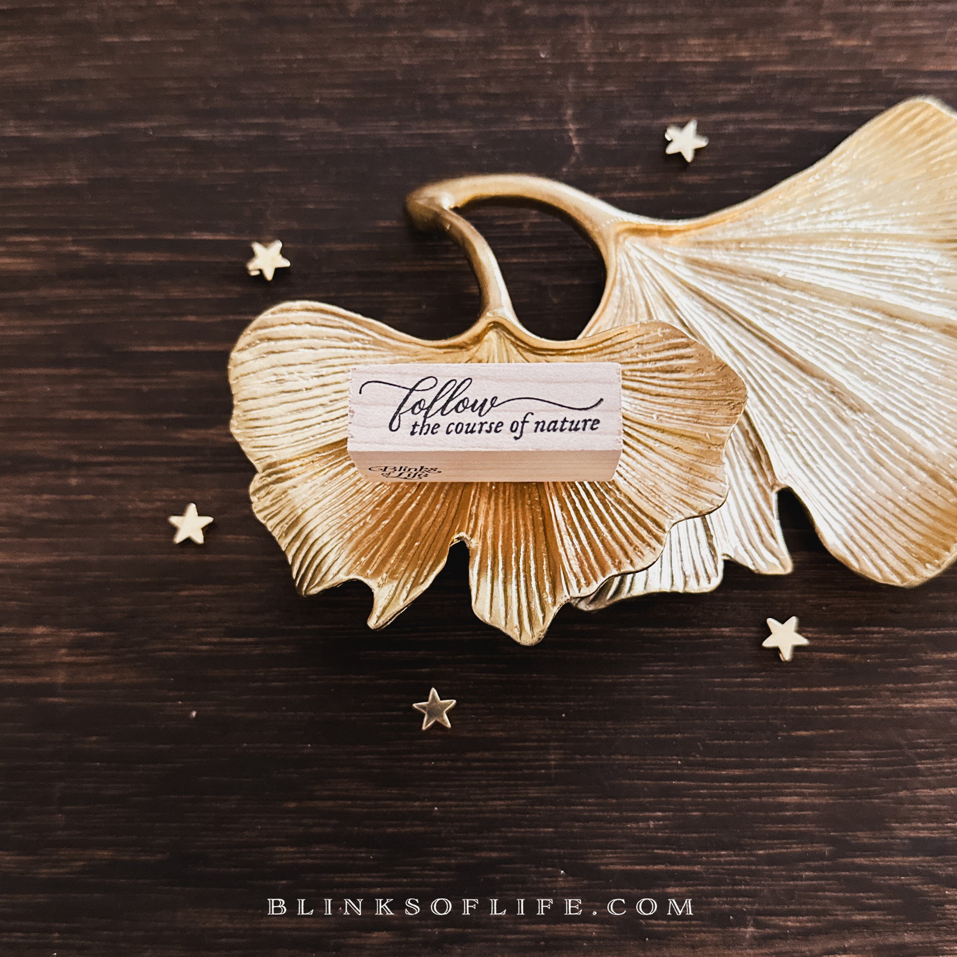Blinks of Life - Wooden Rubber Stamp - Journal Quote - Mini Daily Reminders for Bujo Planner