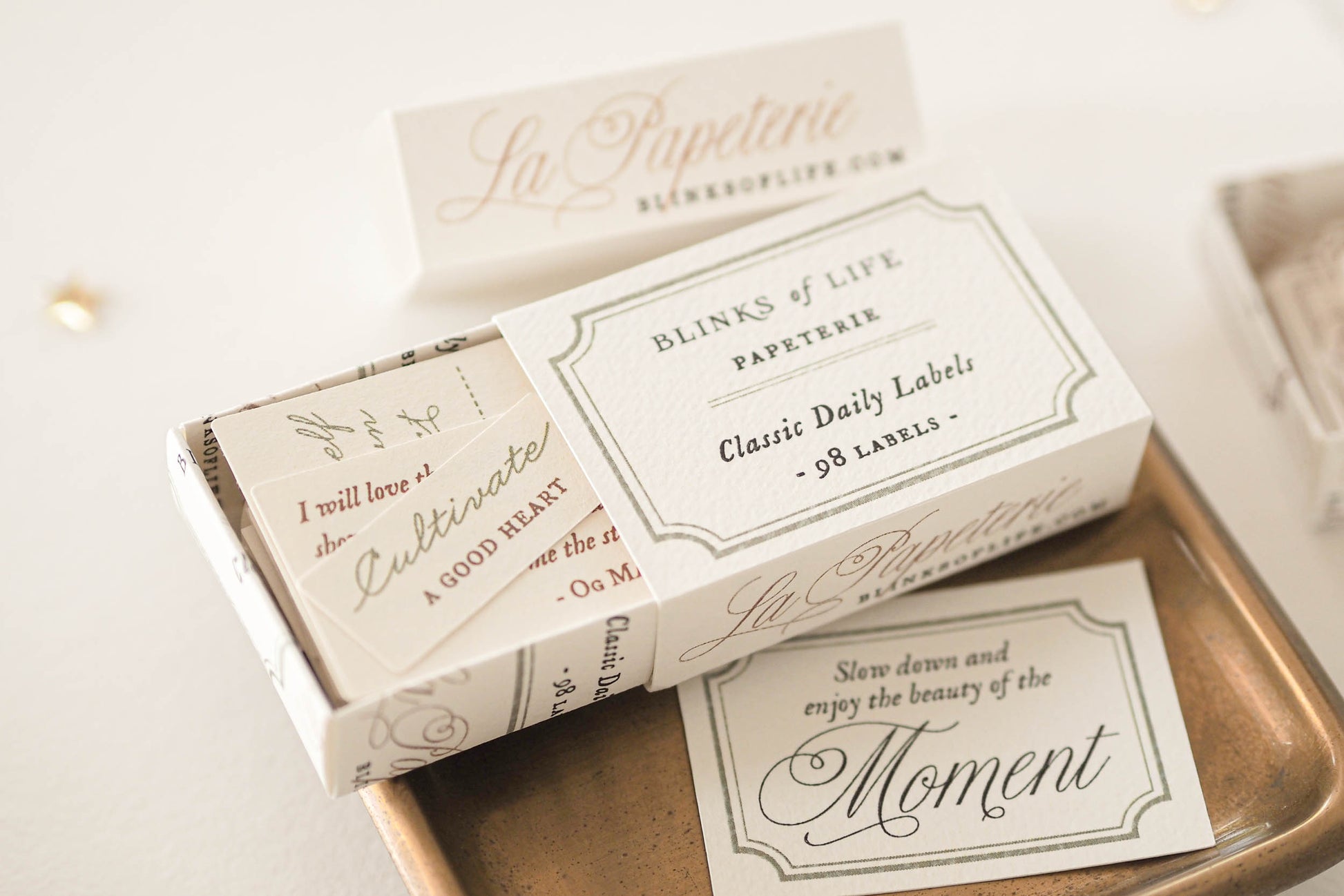 Blinks of Life - Classic Daily Labels - Sage Green