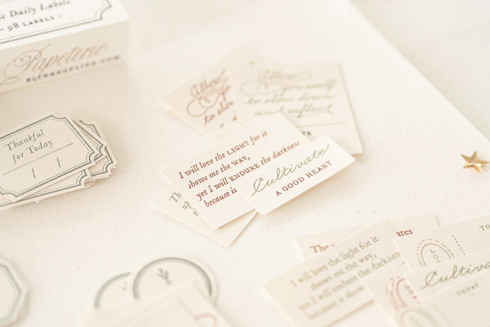 Blinks of Life - Classic Daily Labels - Sage Green