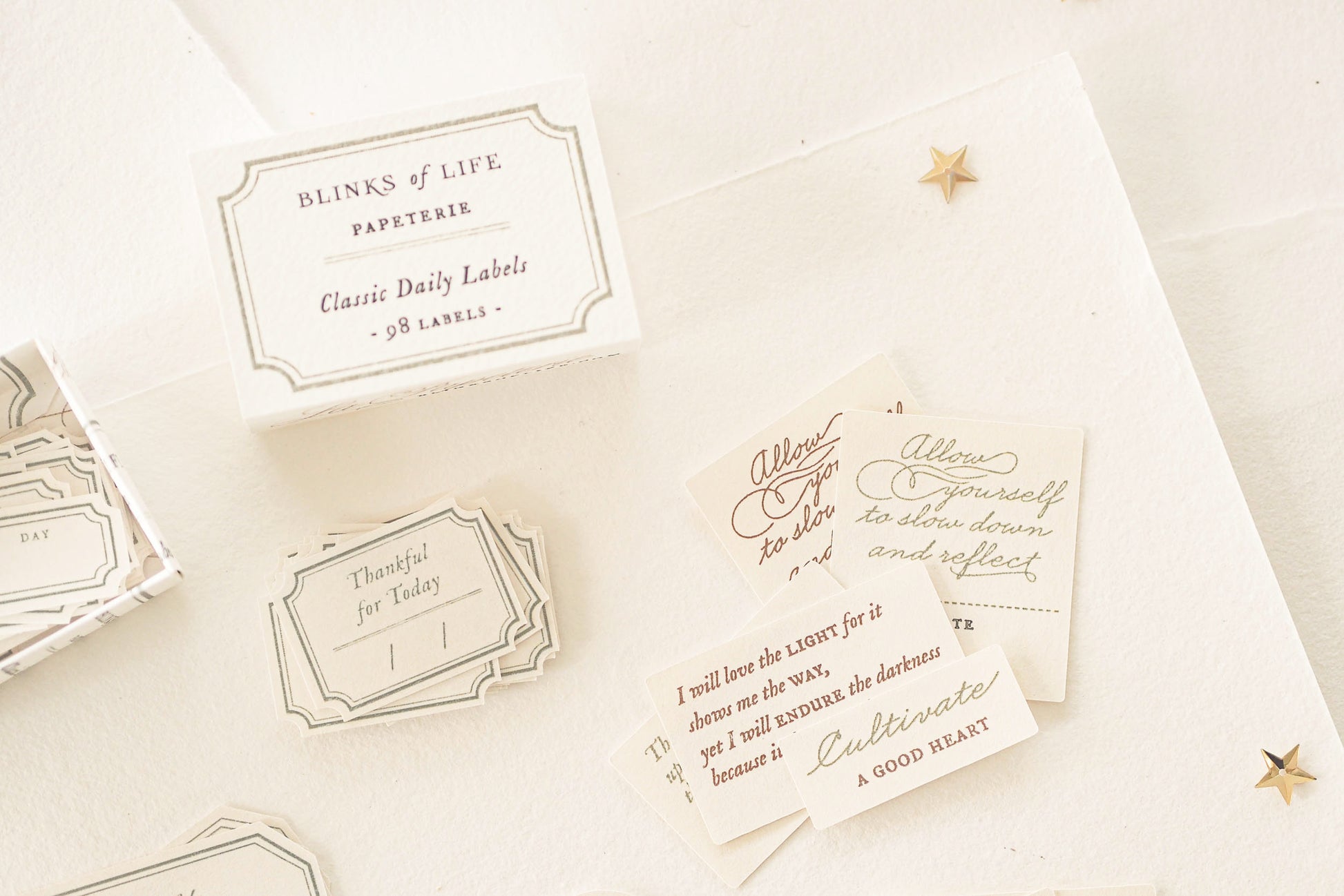 Blinks of Life - Classic Daily Labels - Sage Green