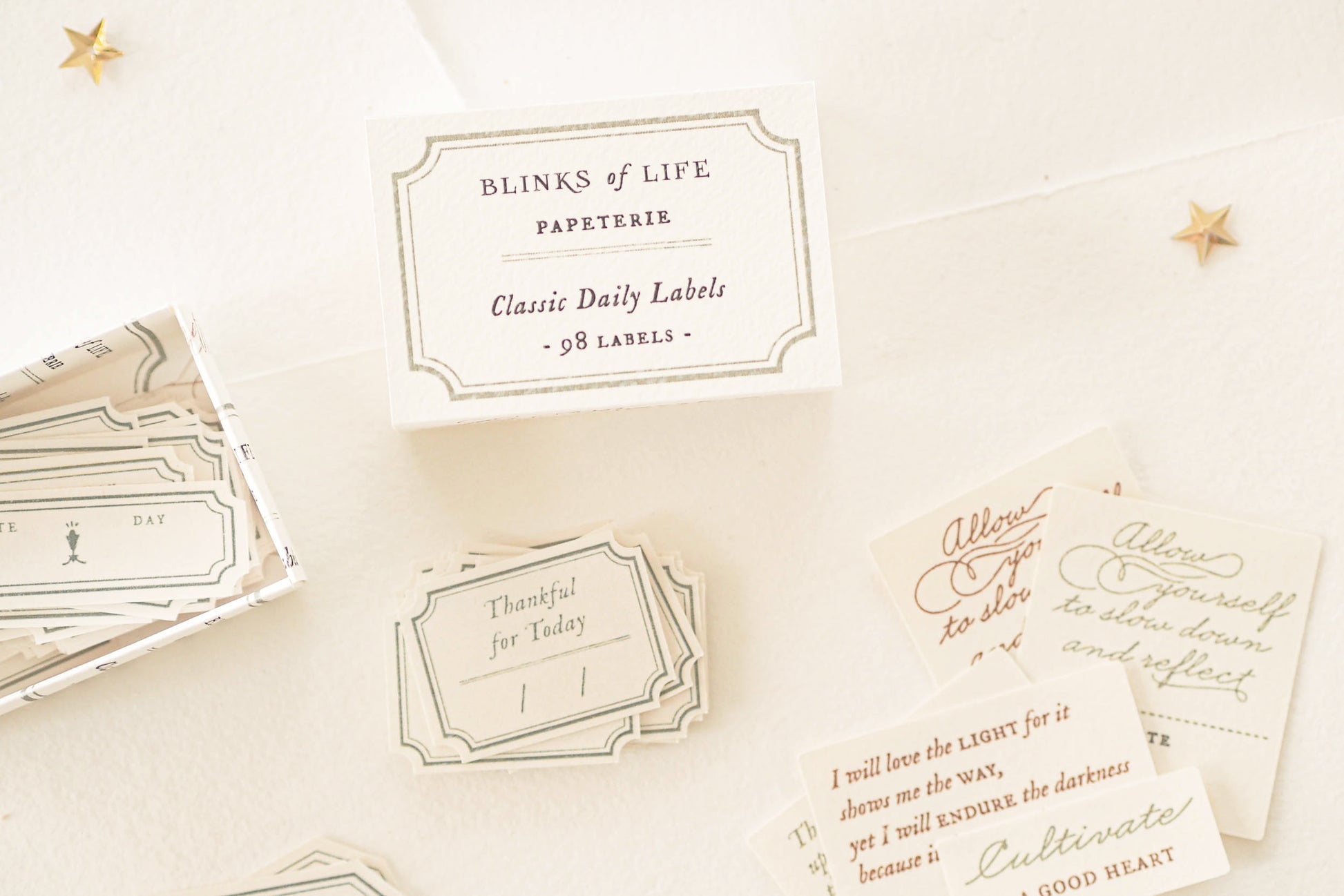 Blinks of Life - Classic Daily Labels - Sage Green