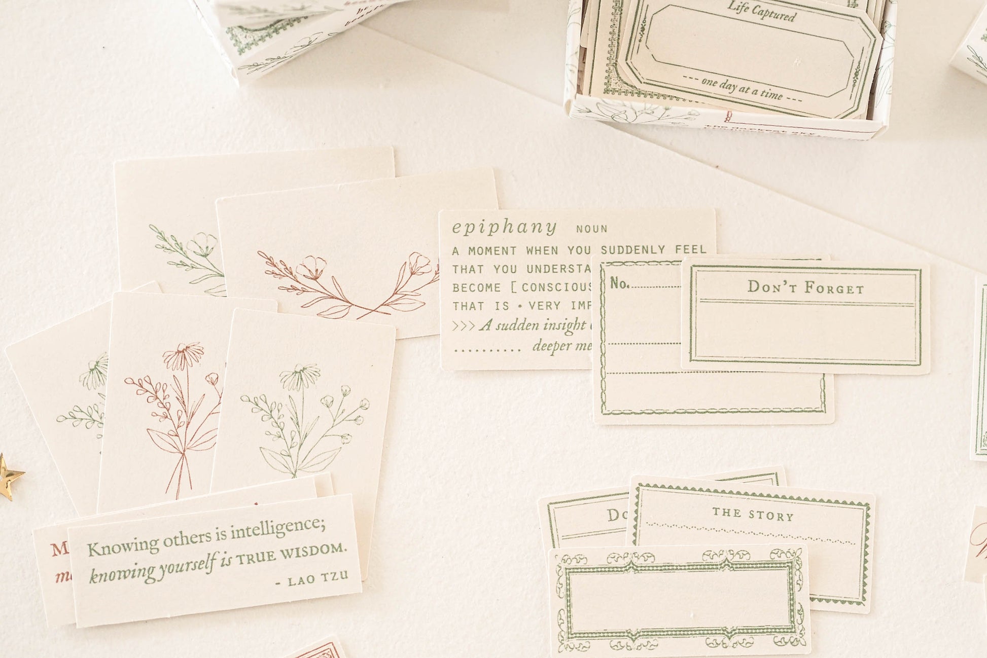 Blinks of Life - Classic Label Box Vol. II - Brown/Sage Green