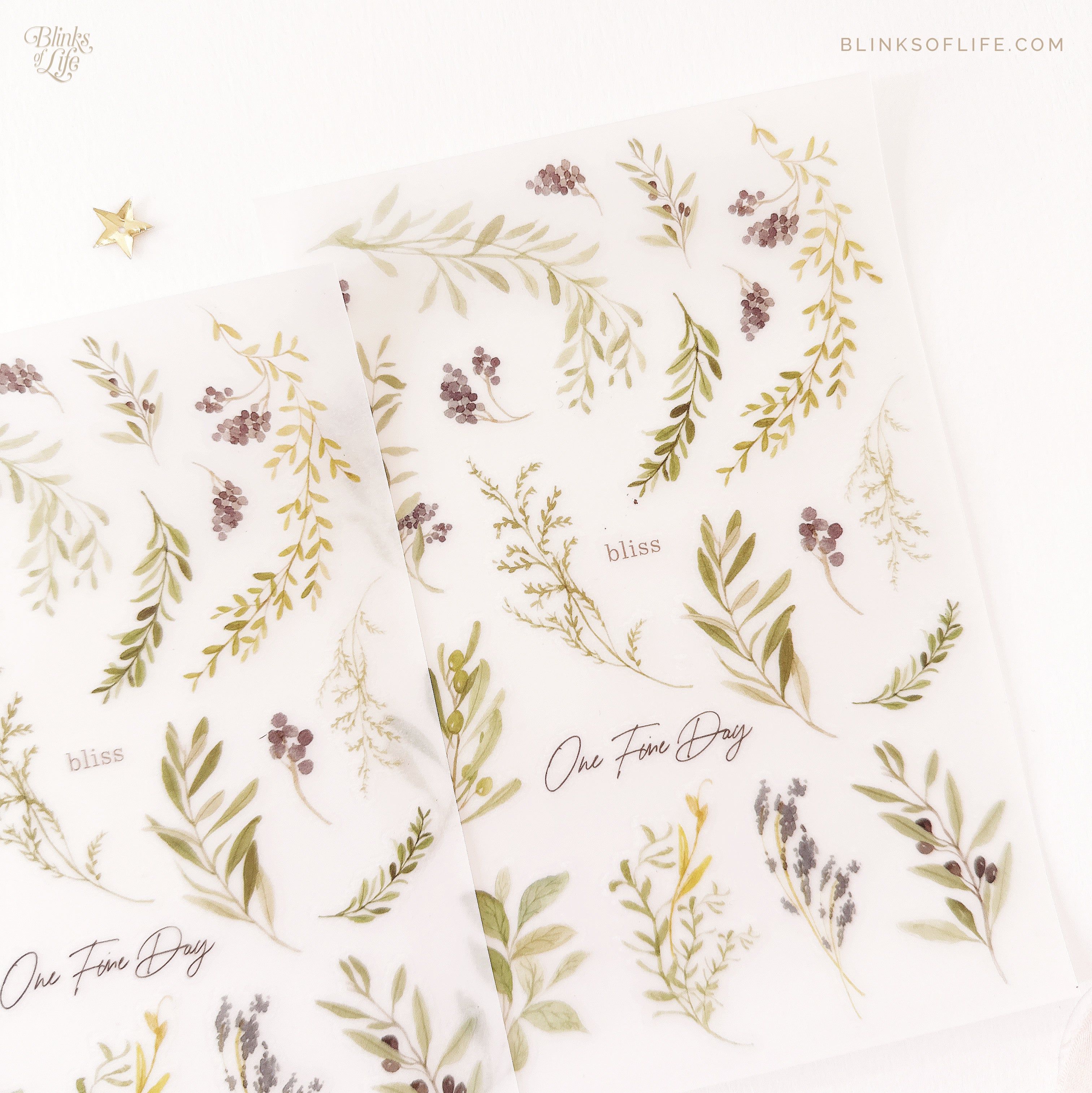 Blinks of Life - Botanical Transfer Stickers - Print-On Rub-On Stickers
