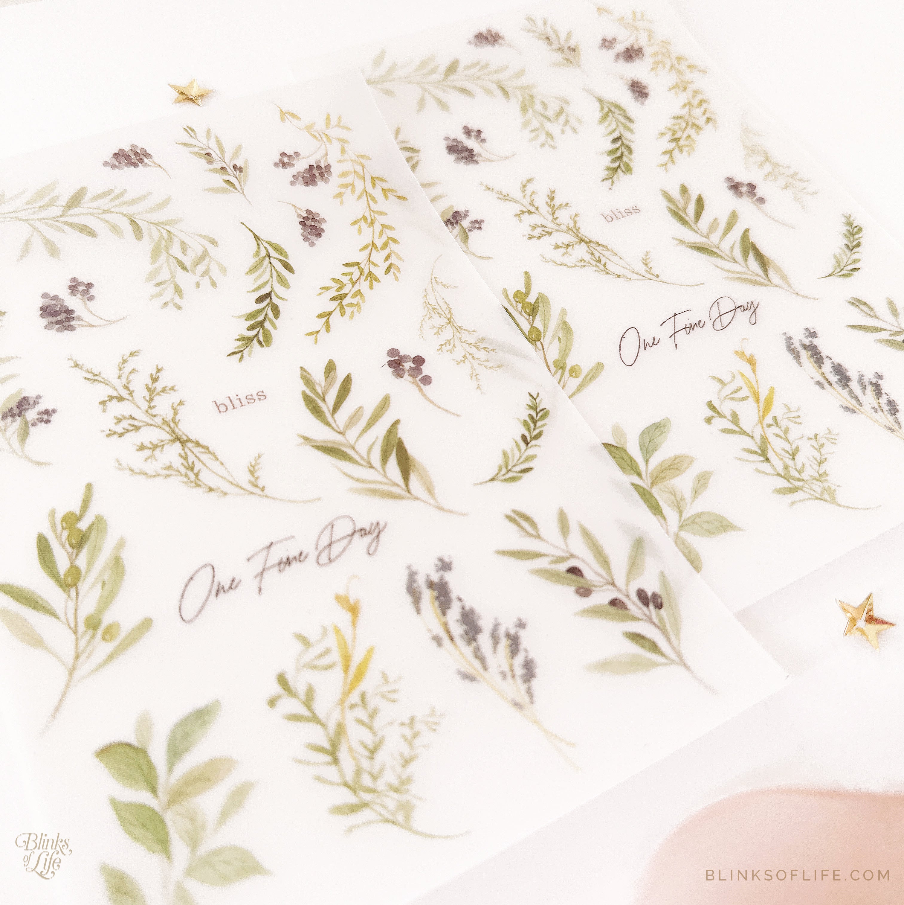 Blinks of Life - Botanical Transfer Stickers - Print-On Rub-On Stickers