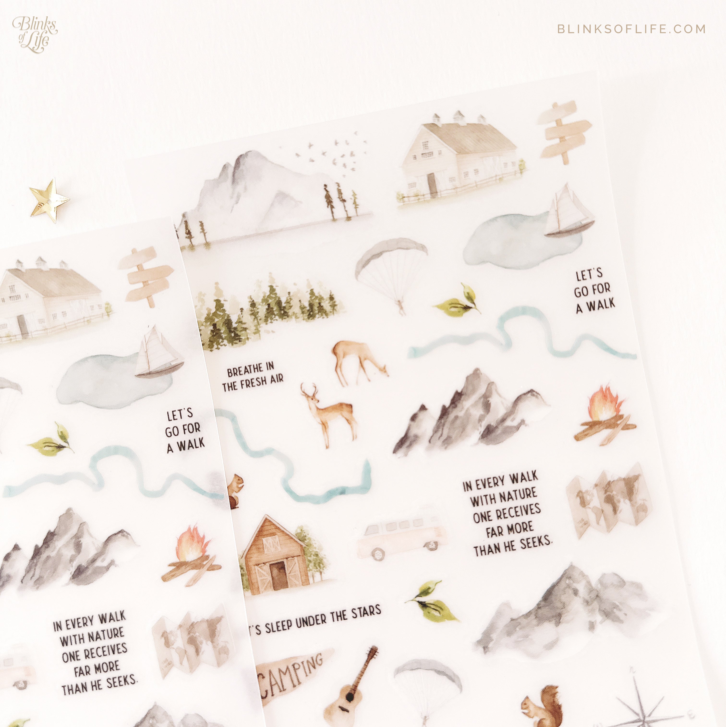 Blinks of Life - Botanical Transfer Stickers - Print-On Rub-On Stickers