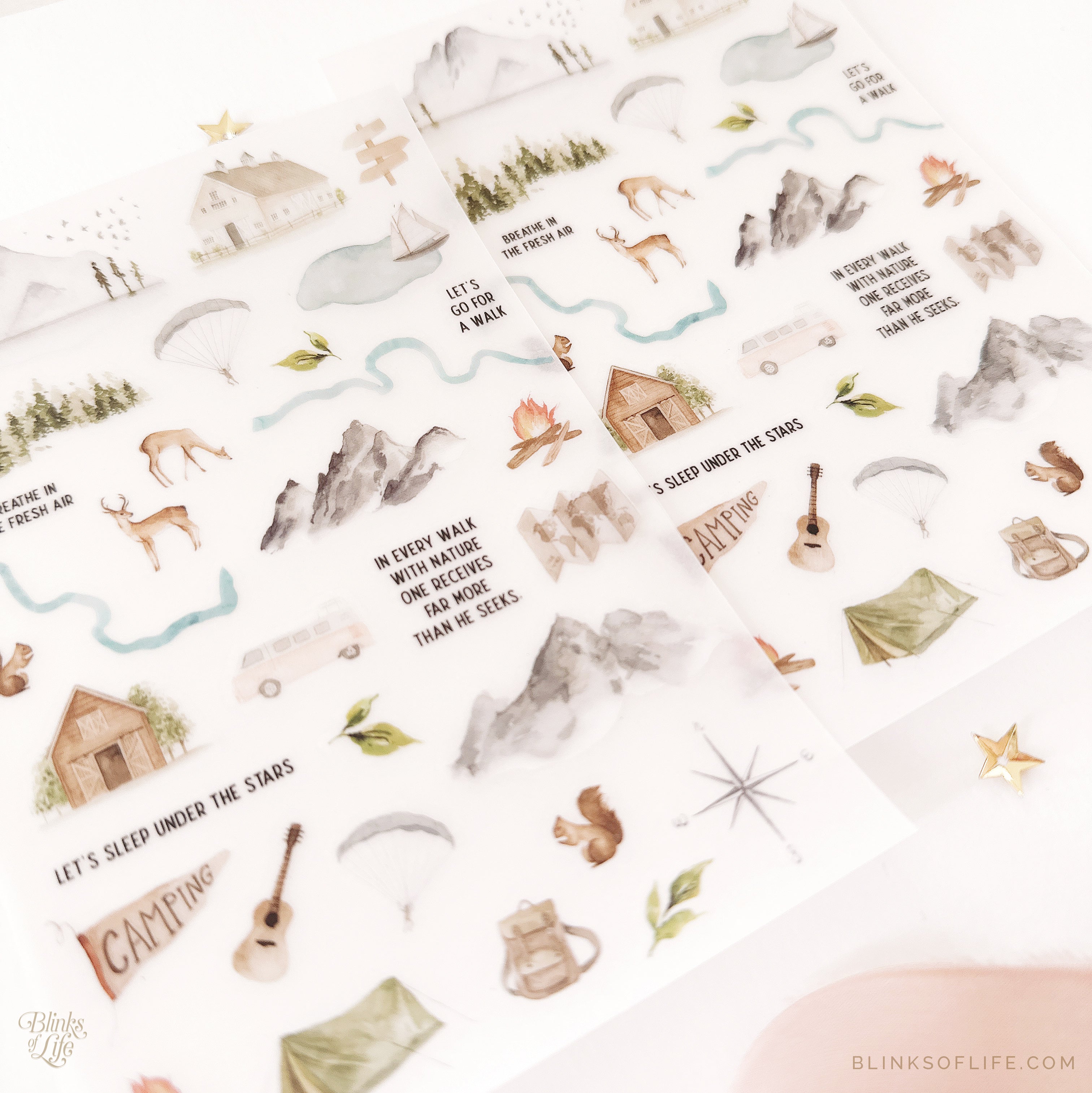 Blinks of Life - Botanical Transfer Stickers - Print-On Rub-On Stickers