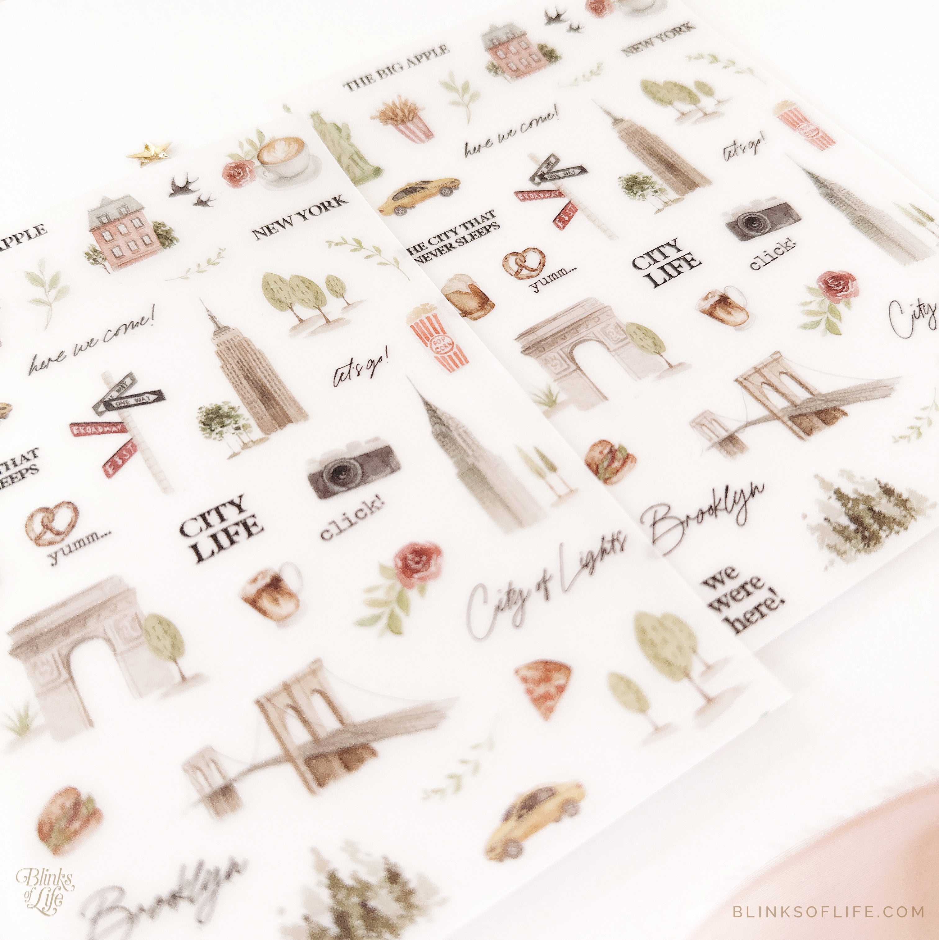 Blinks of Life - Botanical Transfer Stickers - Print-On Rub-On Stickers