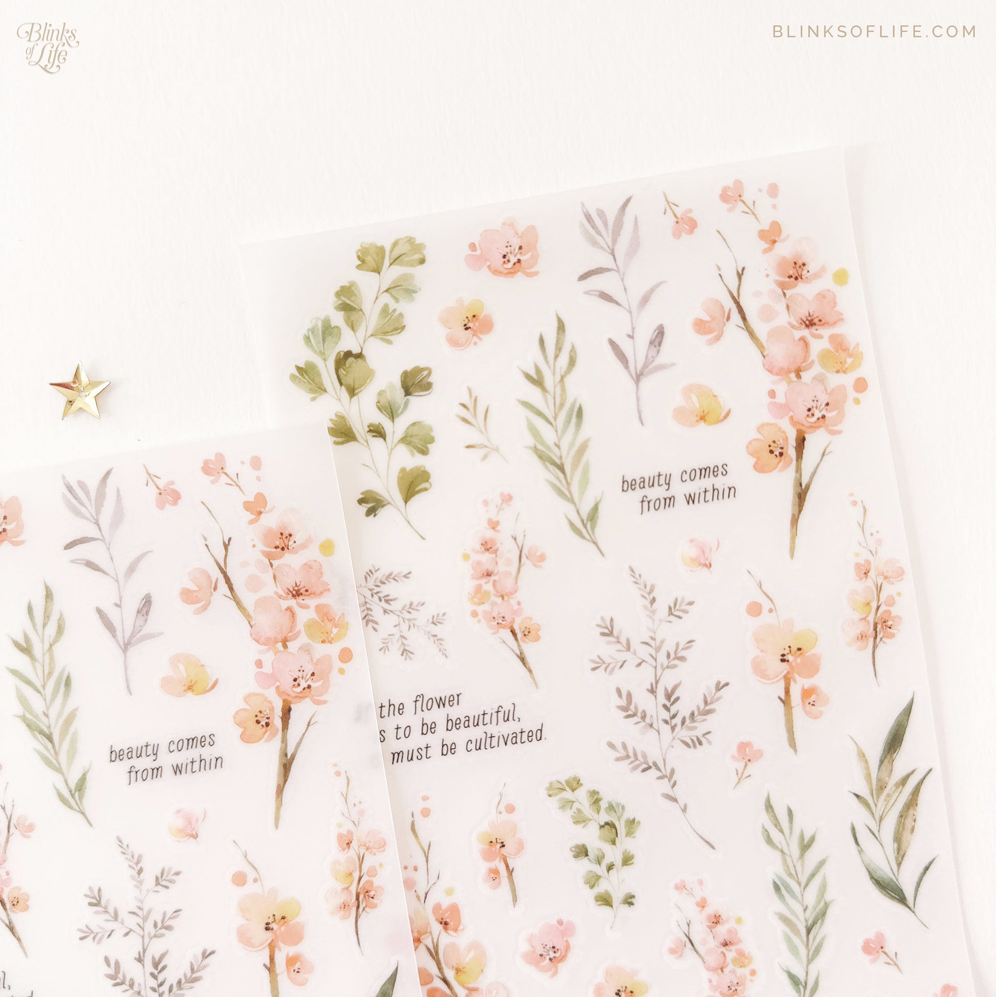 Blinks of Life - Botanical Transfer Stickers - Print-On Rub-On Stickers