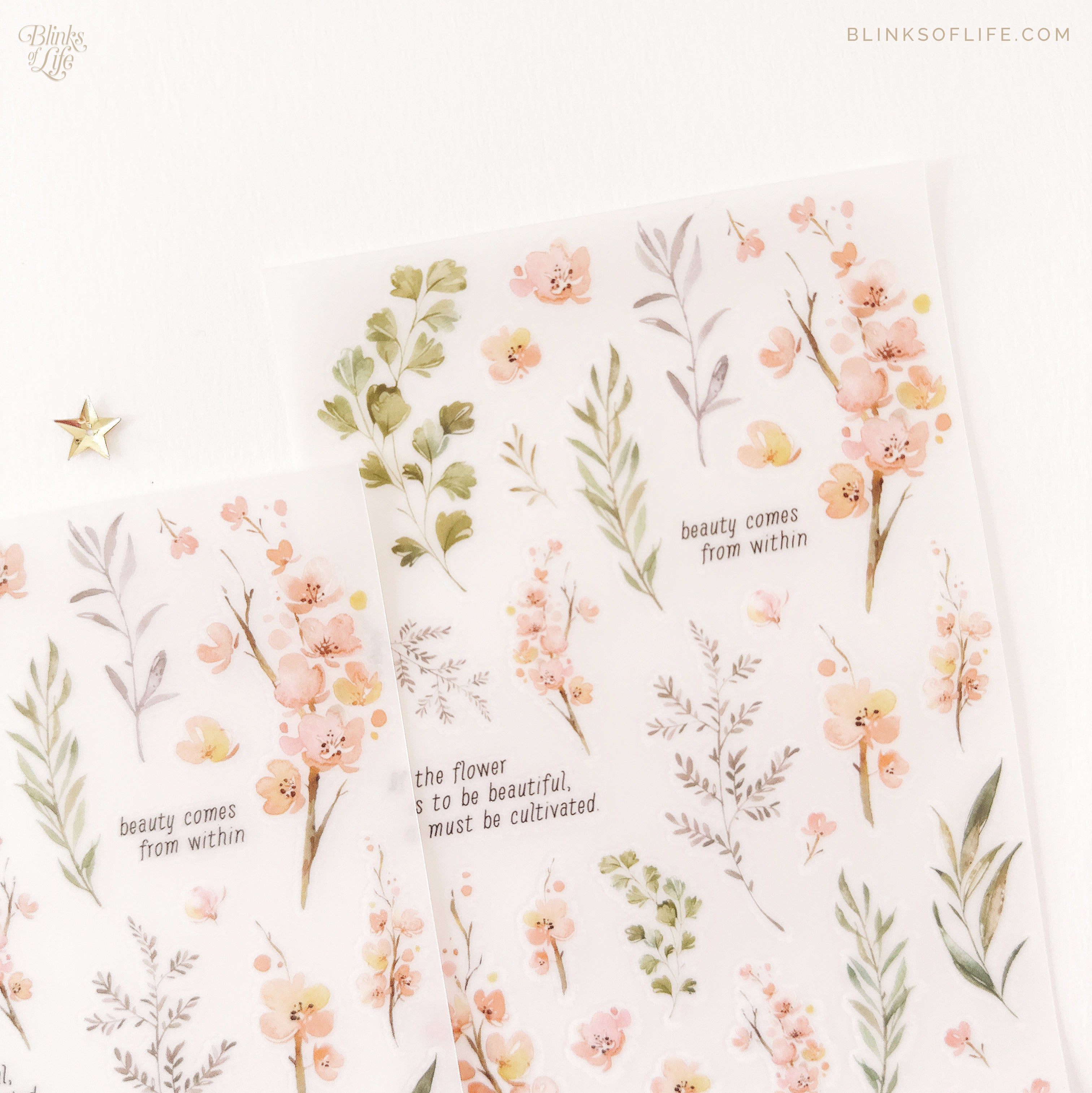 Blinks of Life - Botanical Transfer Stickers - Print-On Rub-On Stickers