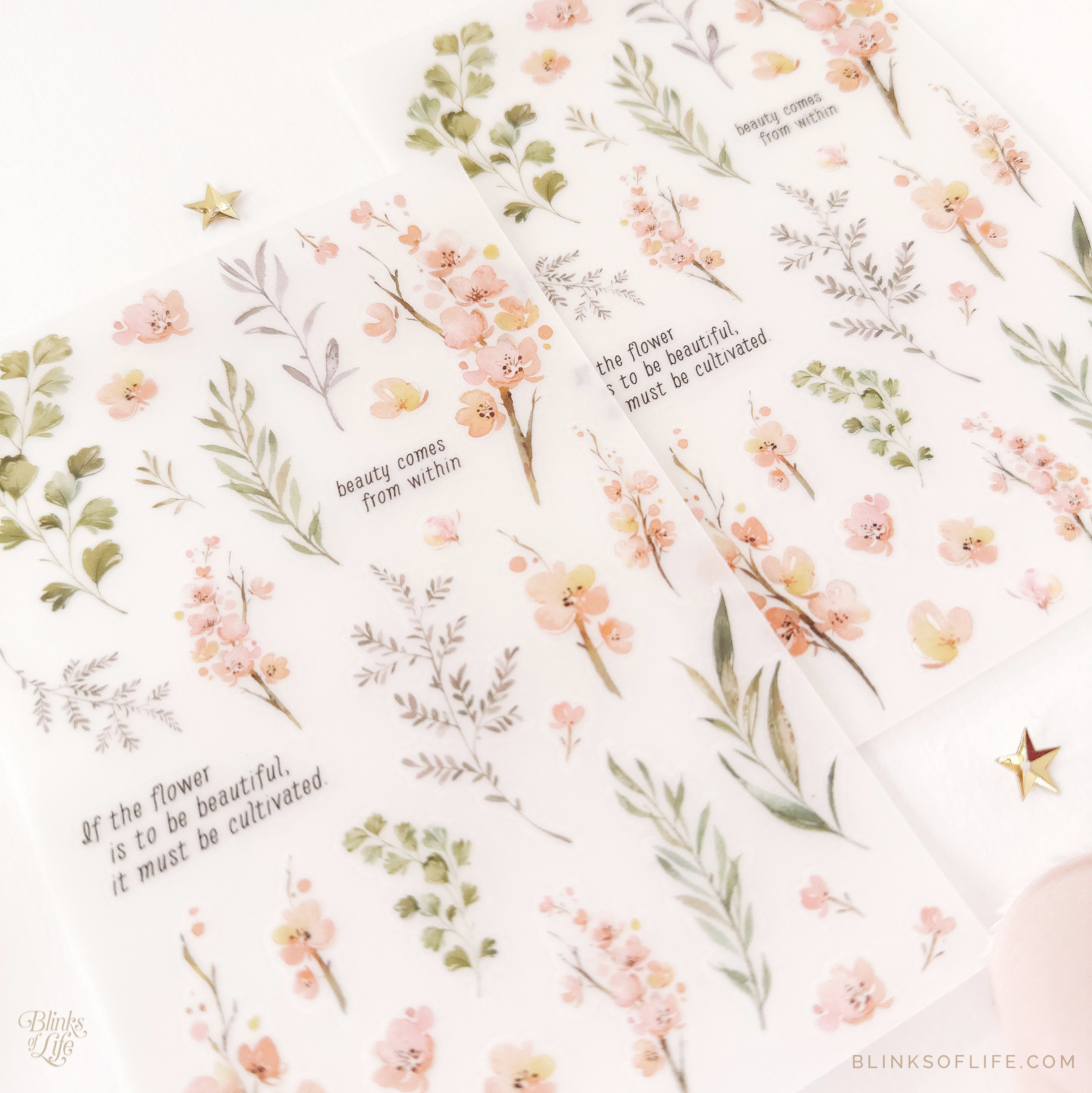 Blinks of Life - Botanical Transfer Stickers - Print-On Rub-On Stickers
