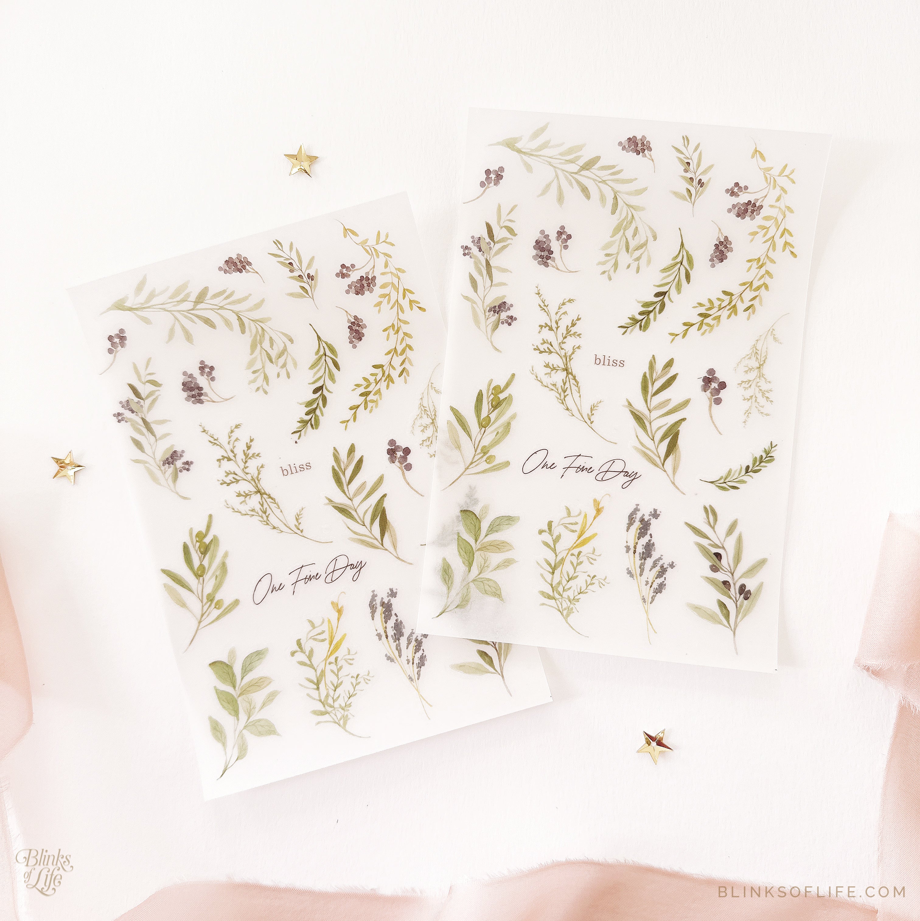 Blinks of Life - Botanical Transfer Stickers - Print-On Rub-On Stickers