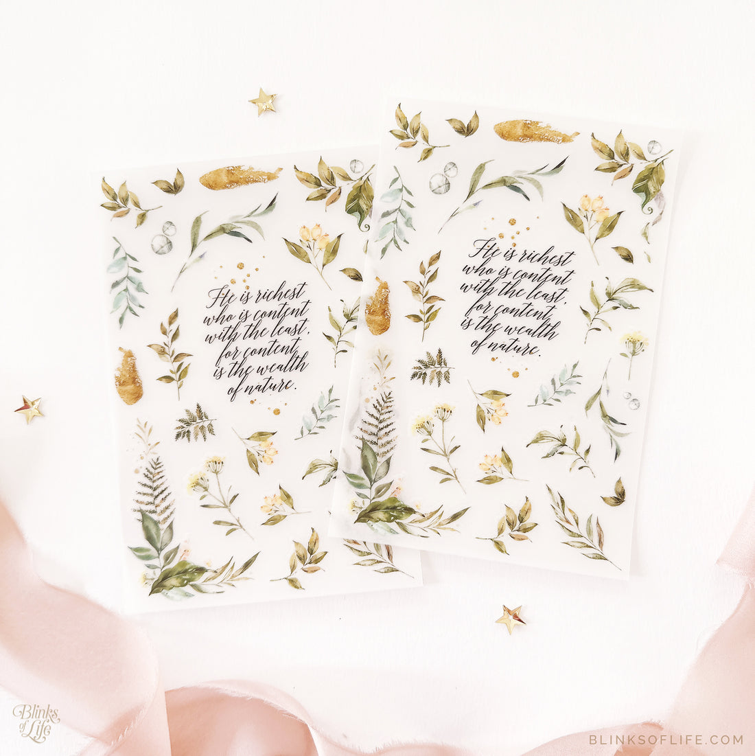 Blinks of Life - Botanical Transfer Stickers - Print-On Rub-On Stickers