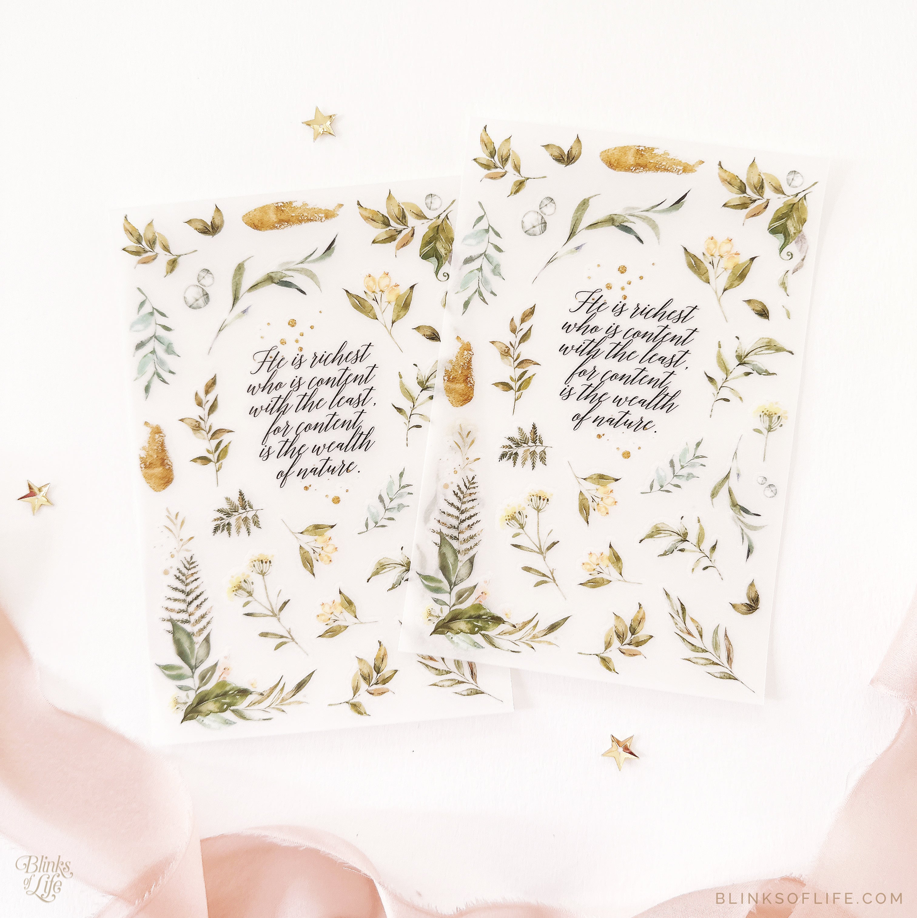 Blinks of Life - Botanical Transfer Stickers - Print-On Rub-On Stickers