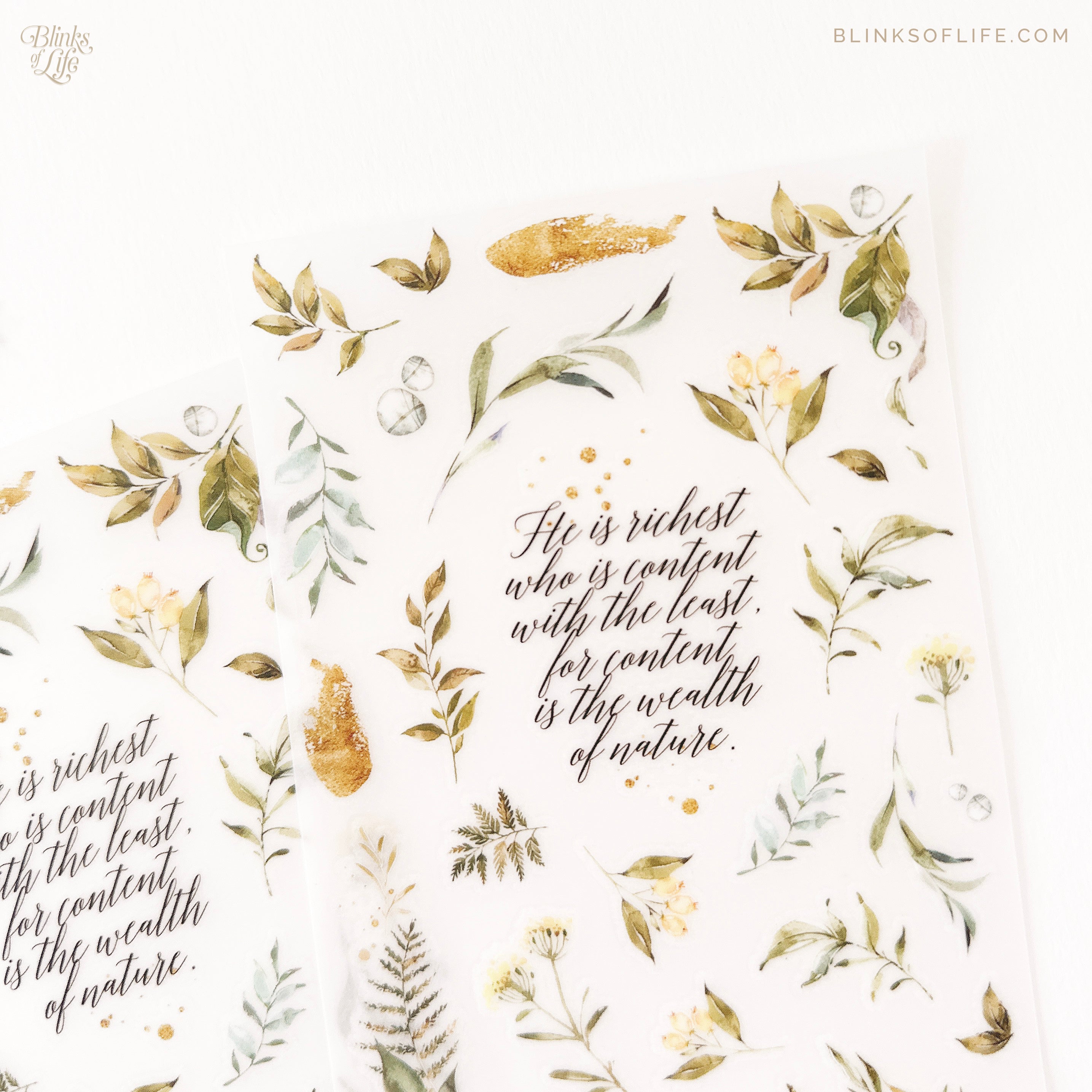 Blinks of Life - Botanical Transfer Stickers - Print-On Rub-On Stickers
