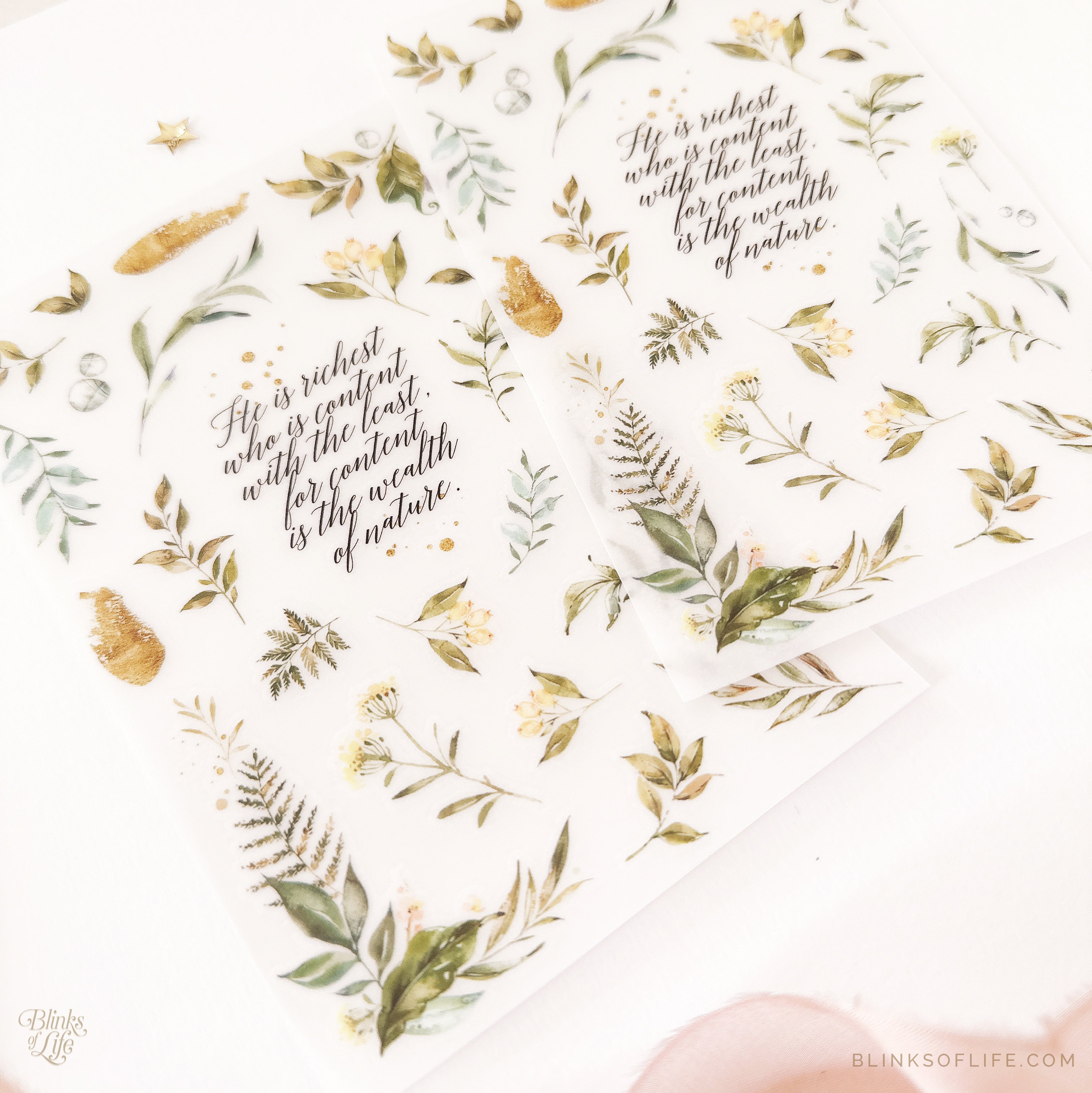 Blinks of Life - Botanical Transfer Stickers - Print-On Rub-On Stickers