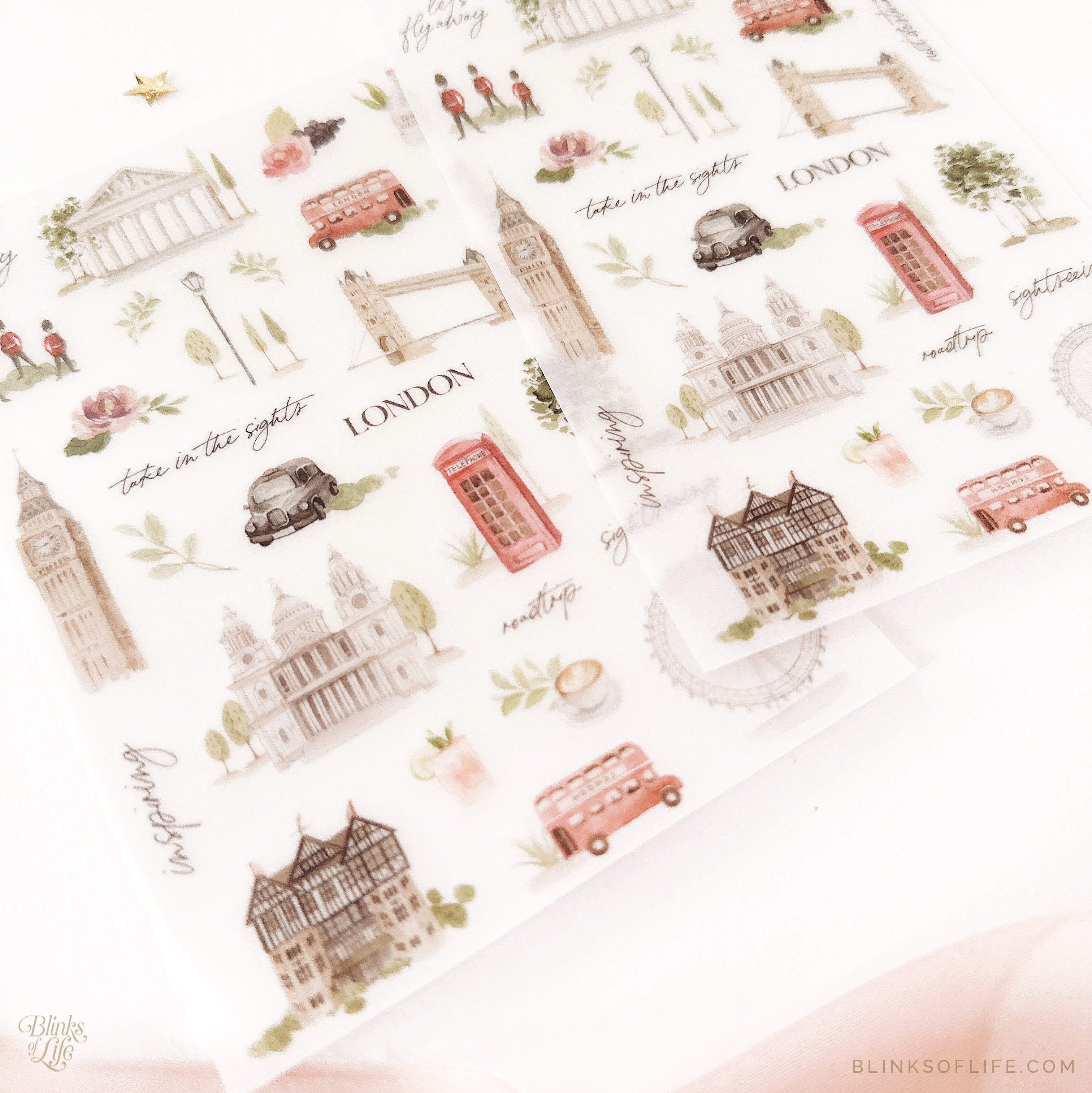 Blinks of Life - Botanical Transfer Stickers - Print-On Rub-On Stickers