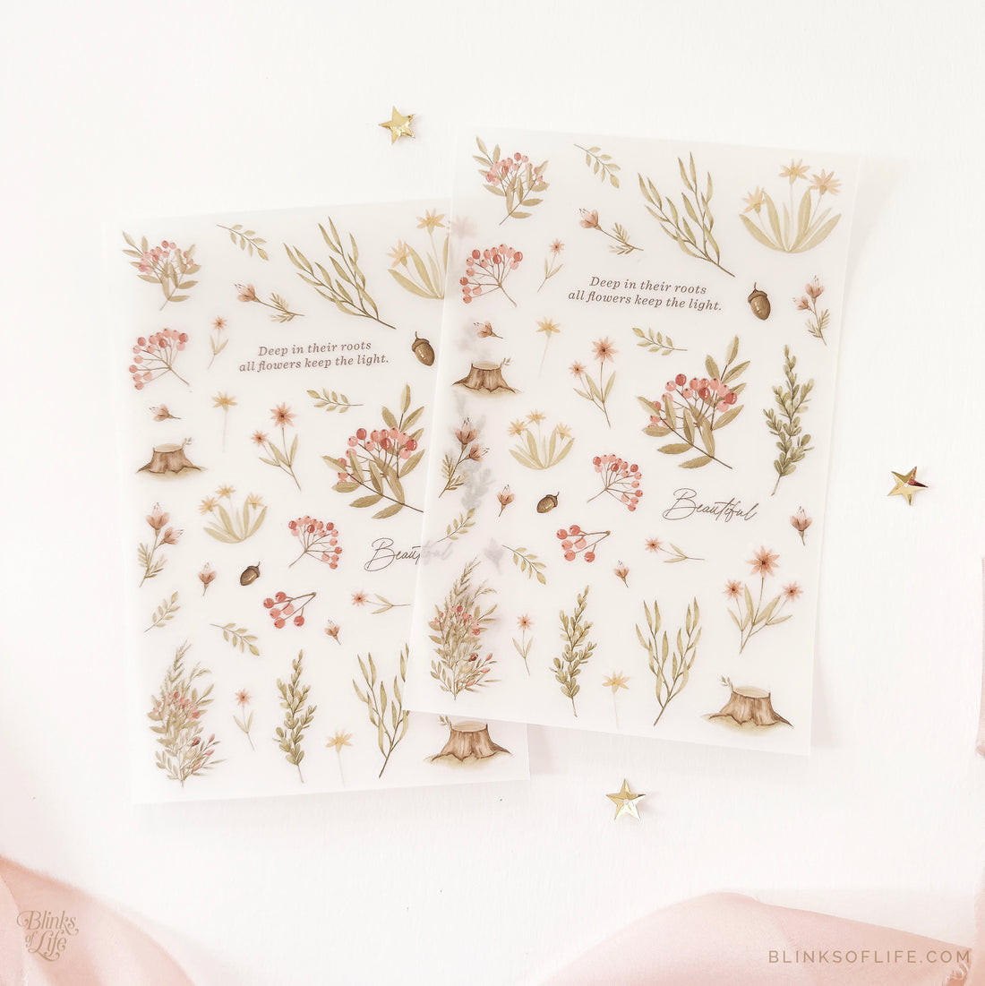 Blinks of Life - Botanical Transfer Stickers - Print-On Rub-On Stickers