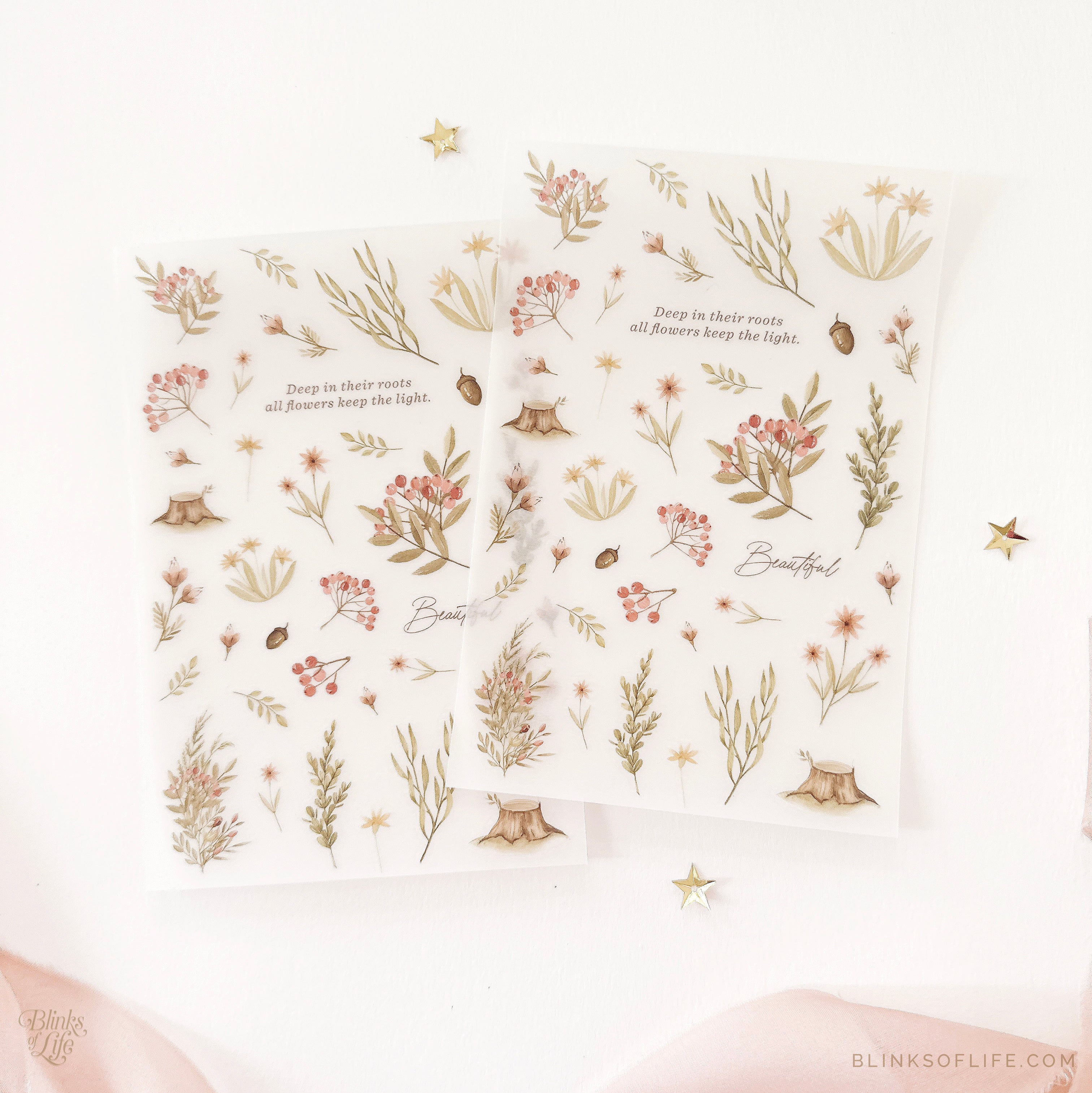 Blinks of Life - Botanical Transfer Stickers - Print-On Rub-On Stickers