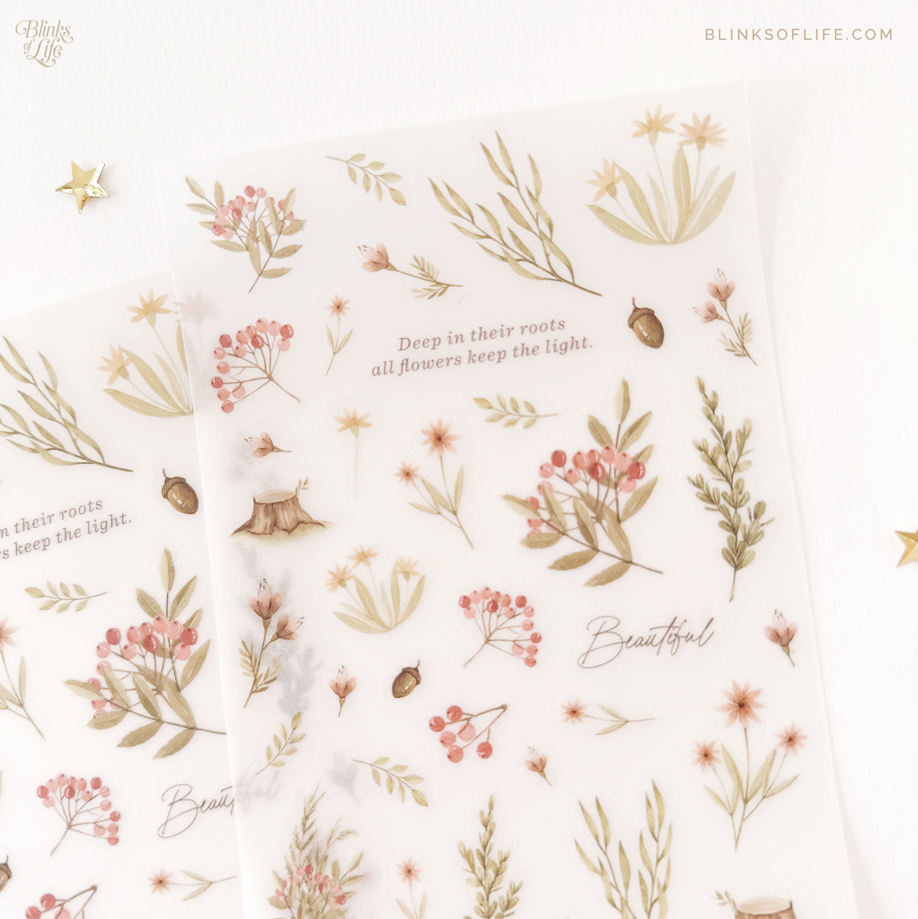 Blinks of Life - Botanical Transfer Stickers - Print-On Rub-On Stickers