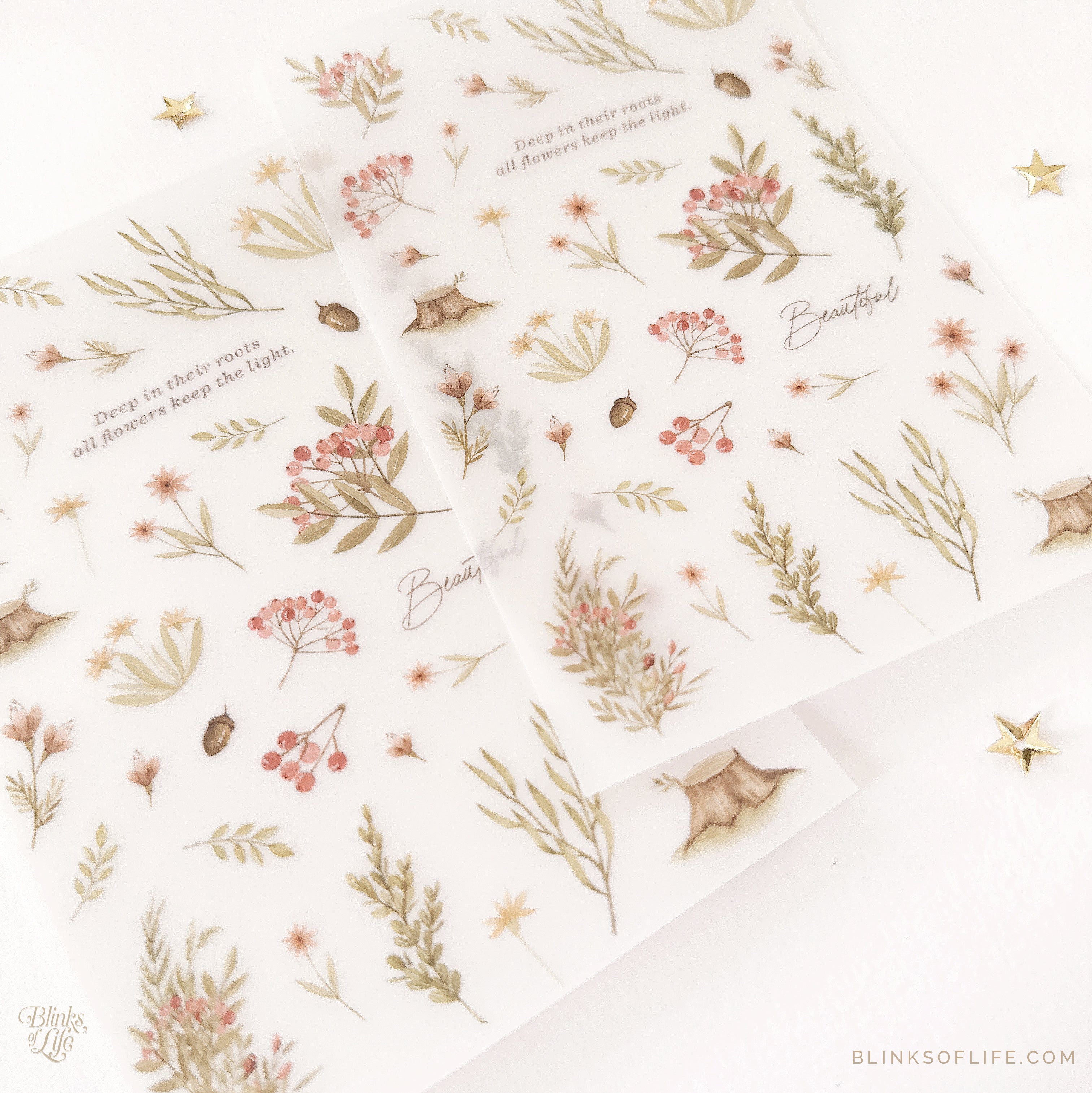 Blinks of Life - Botanical Transfer Stickers - Print-On Rub-On Stickers