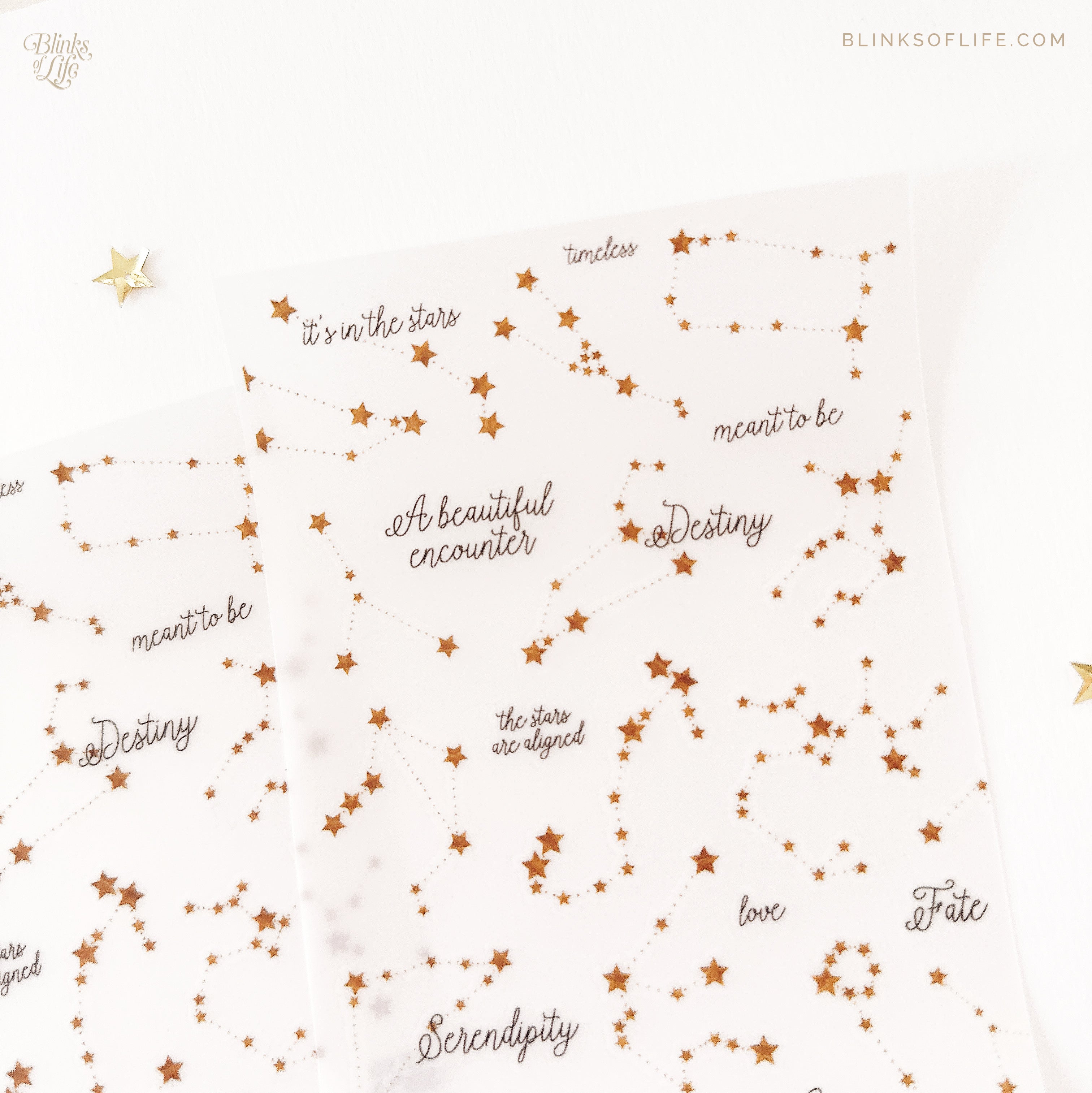 Blinks of Life - Botanical Transfer Stickers - Print-On Rub-On Stickers