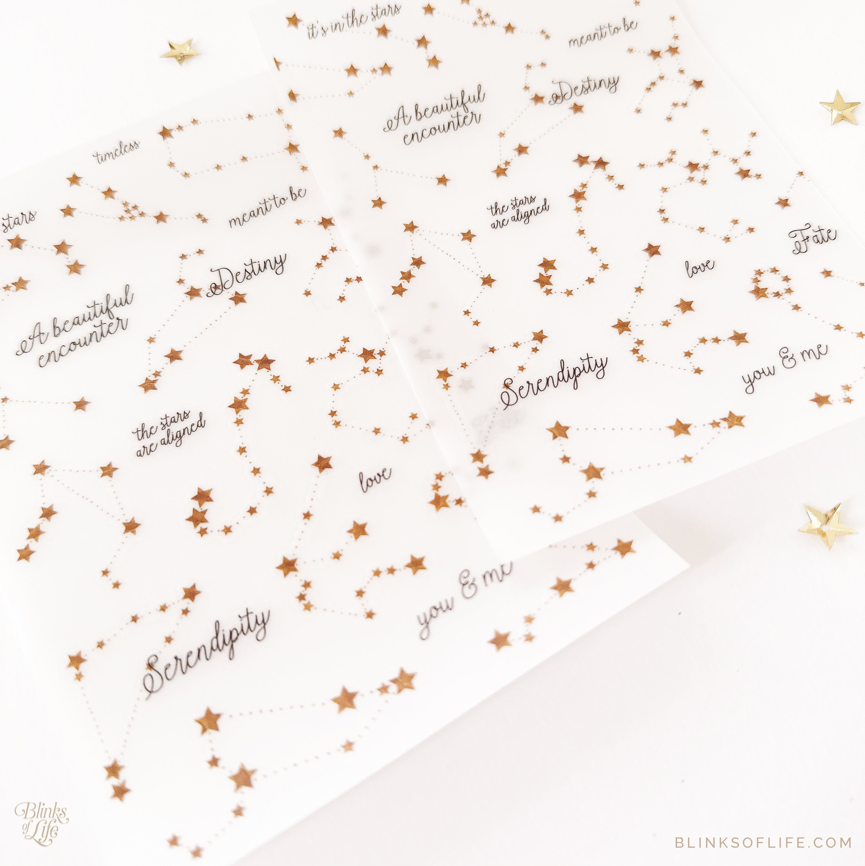 Blinks of Life - Botanical Transfer Stickers - Print-On Rub-On Stickers