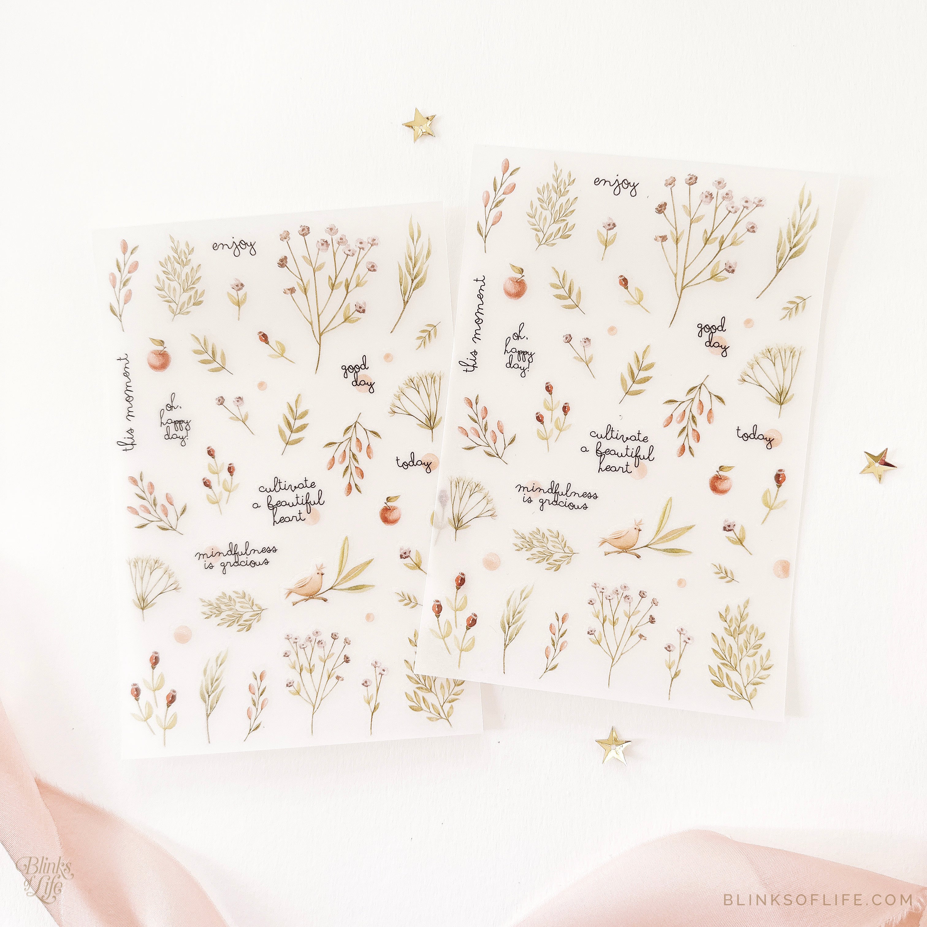 Blinks of Life - Botanical Transfer Stickers - Print-On Rub-On Stickers