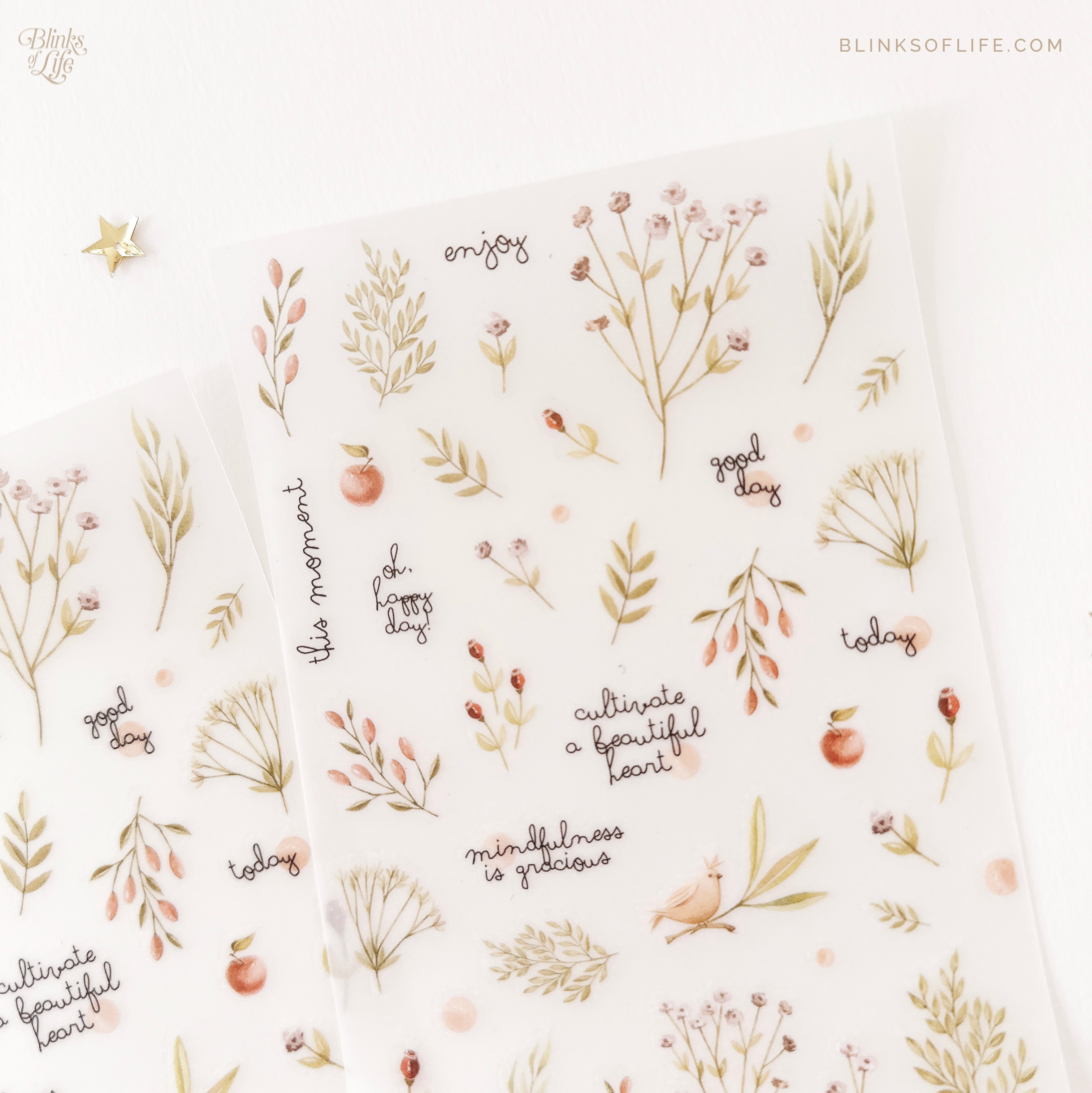 Blinks of Life - Botanical Transfer Stickers - Print-On Rub-On Stickers