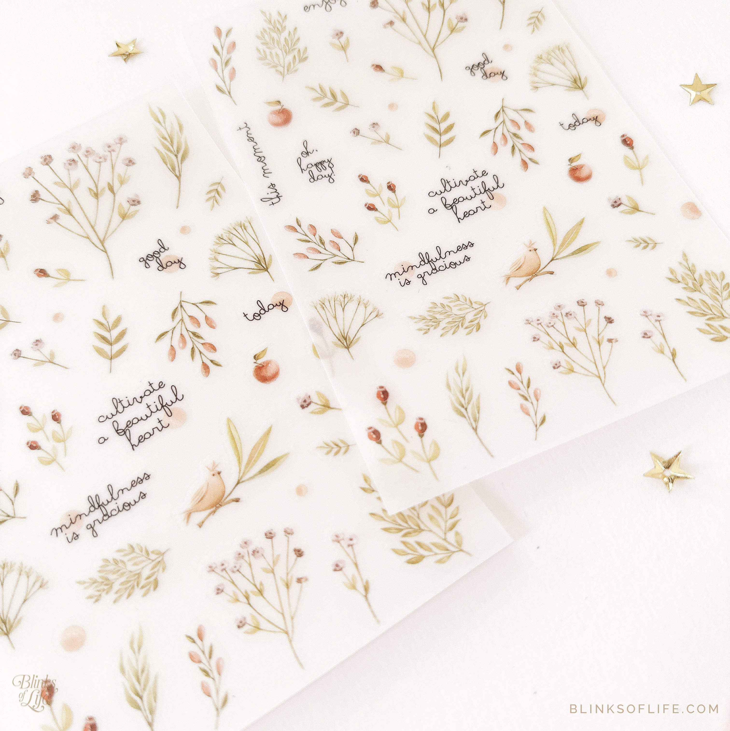 Blinks of Life - Botanical Transfer Stickers - Print-On Rub-On Stickers