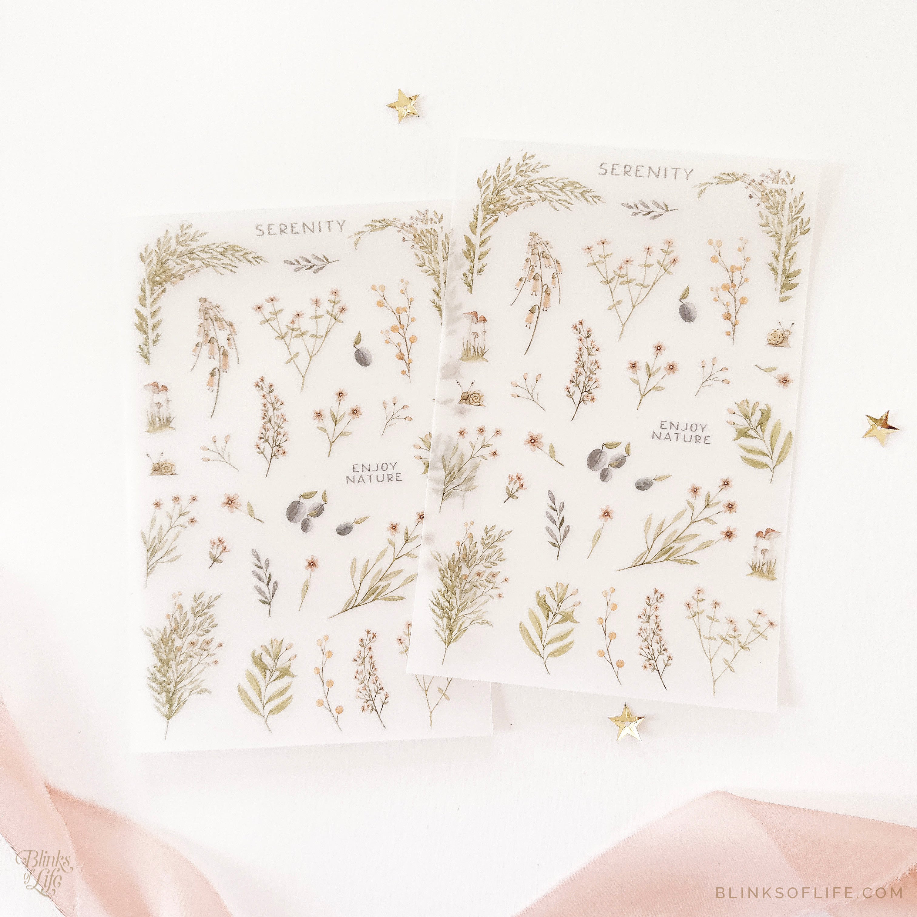 Blinks of Life - Botanical Transfer Stickers - Print-On Rub-On Stickers