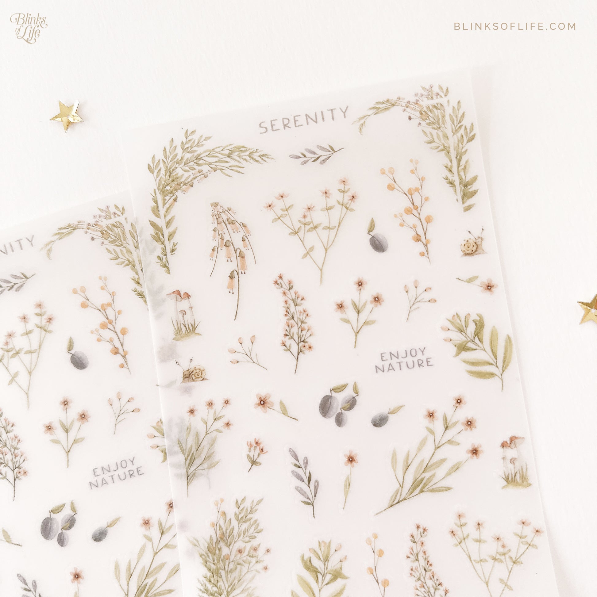 Blinks of Life - Botanical Transfer Stickers - Print-On Rub-On Stickers