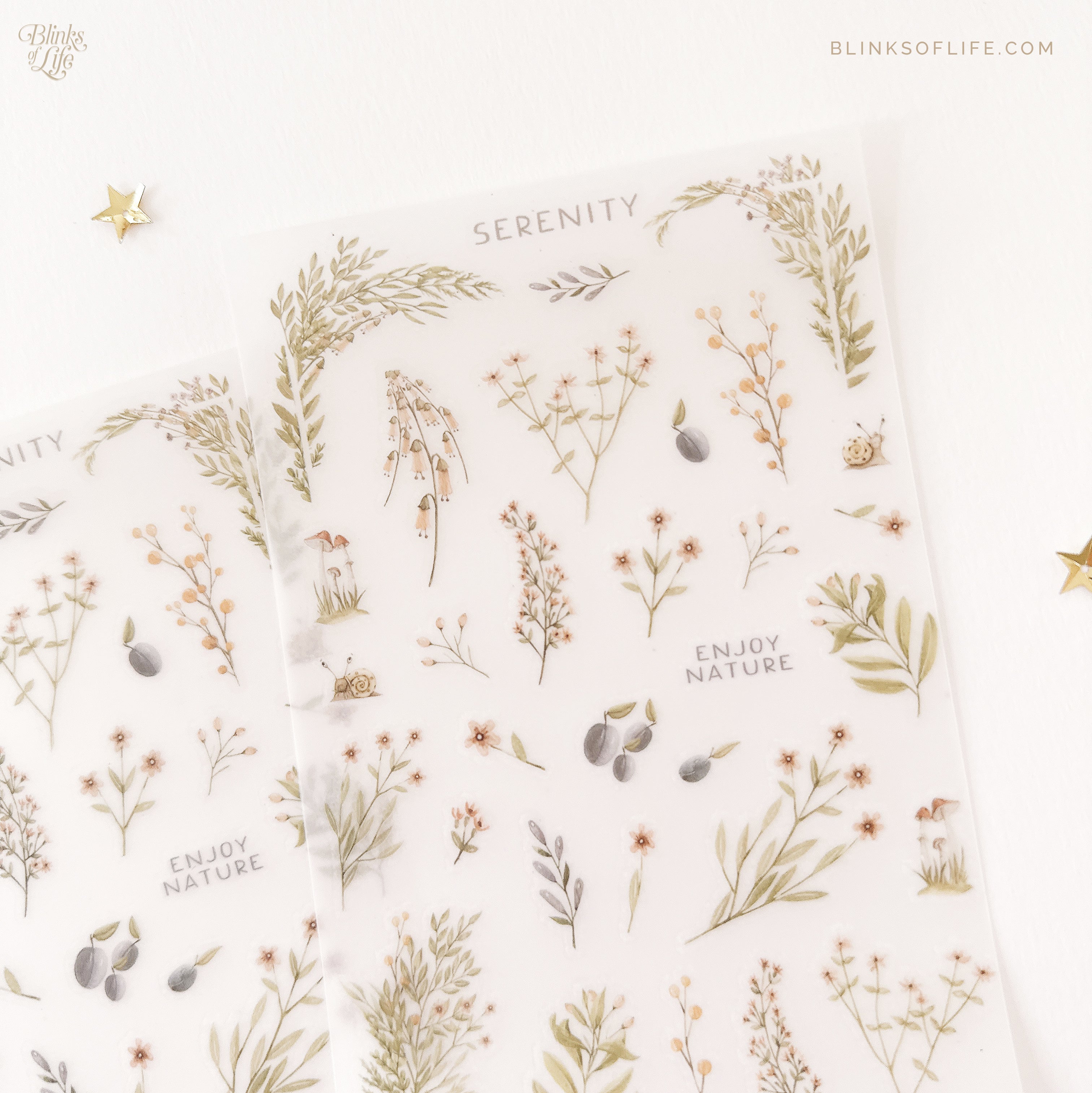 Blinks of Life - Botanical Transfer Stickers - Print-On Rub-On Stickers