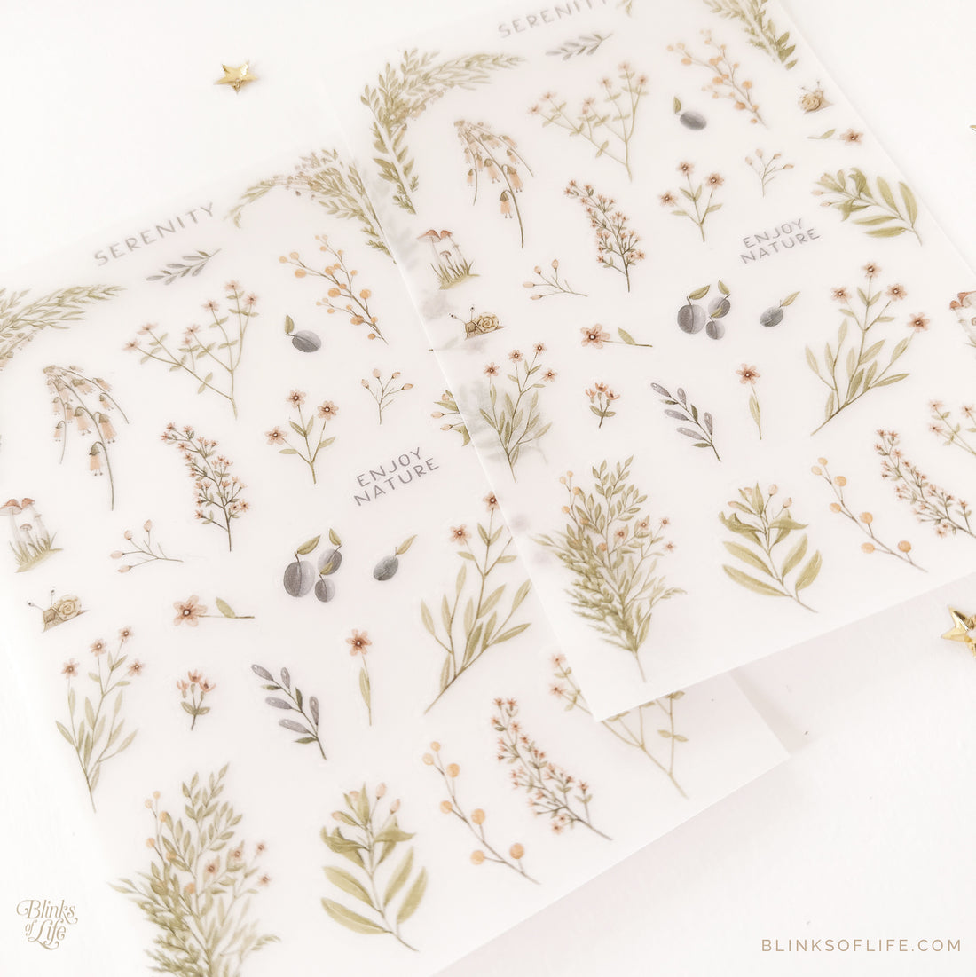 Blinks of Life - Botanical Transfer Stickers - Print-On Rub-On Stickers