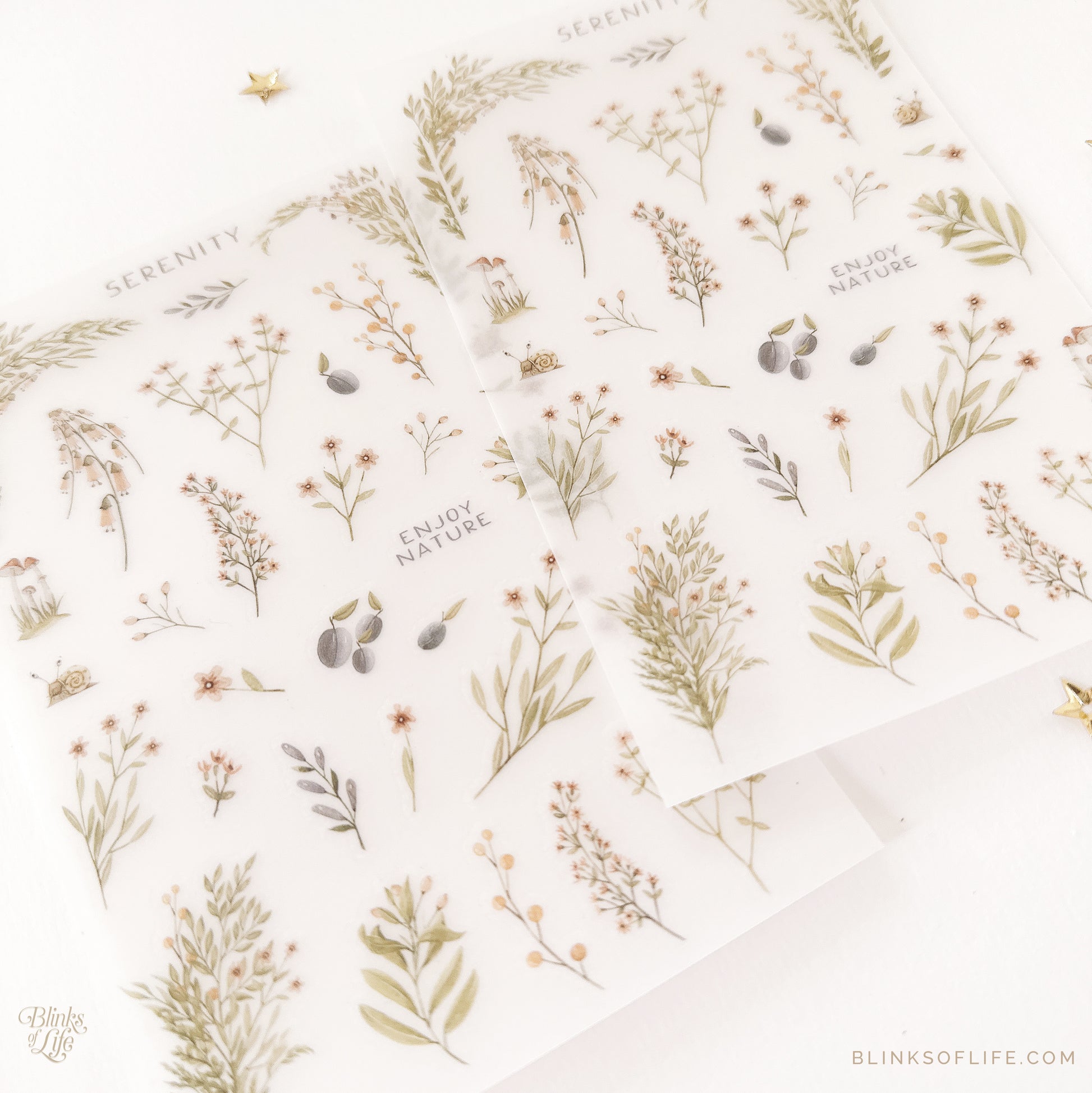 Blinks of Life - Botanical Transfer Stickers - Print-On Rub-On Stickers
