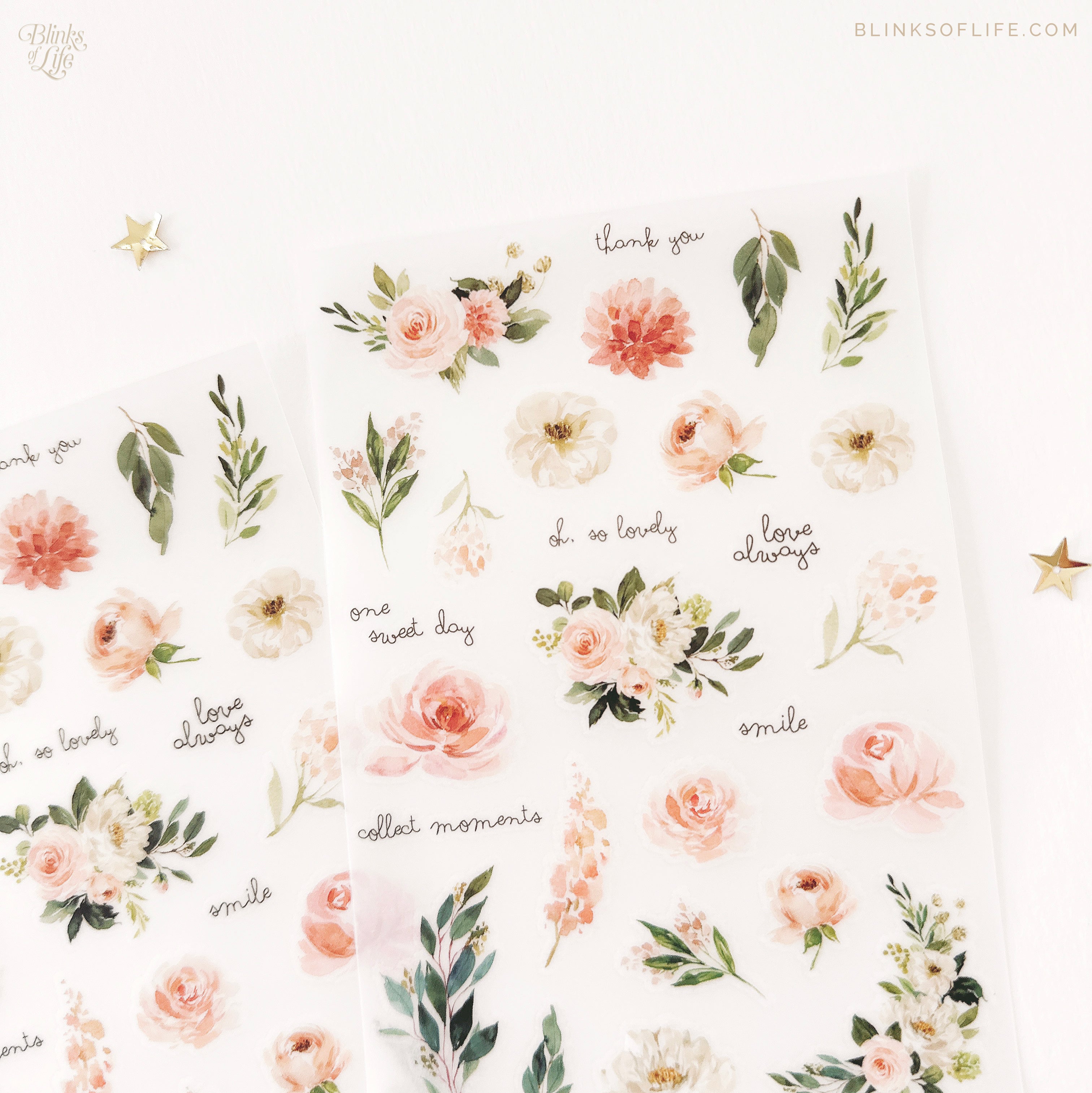 Blinks of Life - Transfer Stickers Rub-On Print On  Botanical