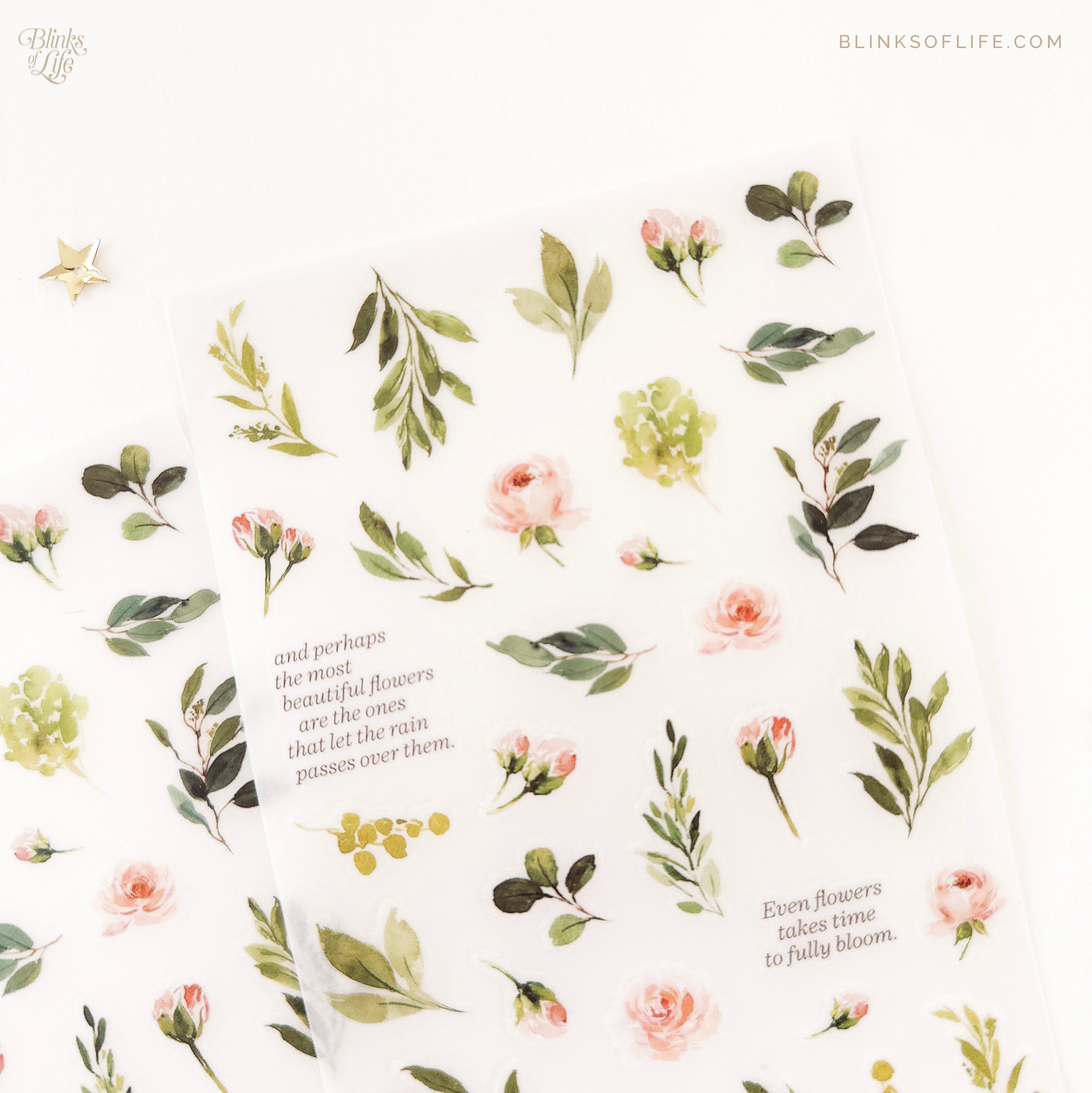 Blinks of Life - Botanical Transfer Stickers - Print-On Rub-On Stickers