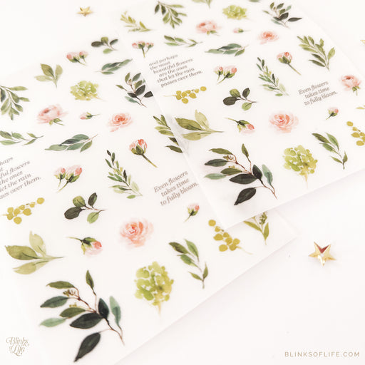 Blinks of Life - Botanical Transfer Stickers - Print-On Rub-On Stickers