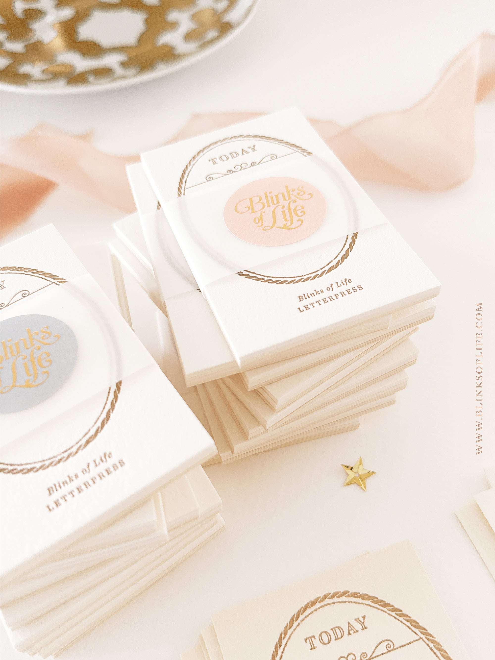 Blinks of Life - BOL - Letterpress Journal Cards Vintage Frame