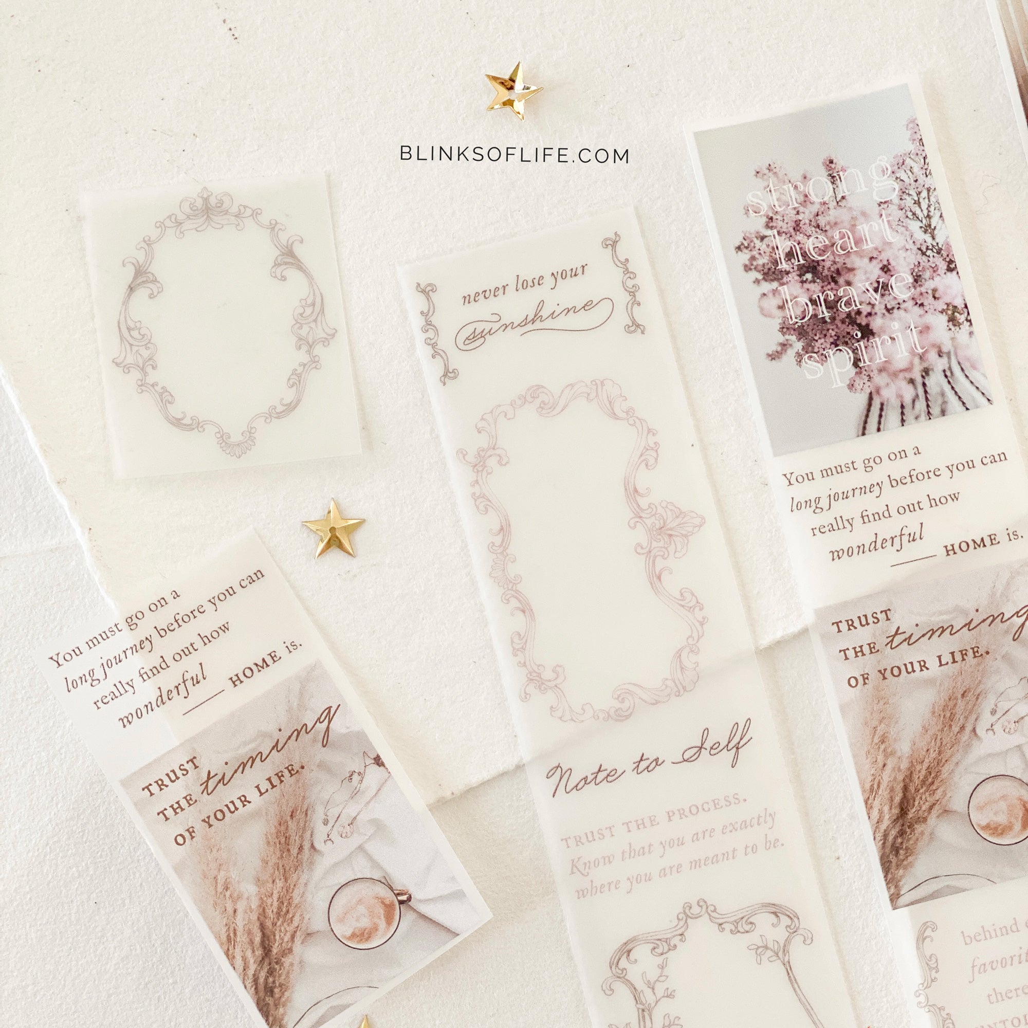 BOL - Blinks of Life - PET Tape Life Story