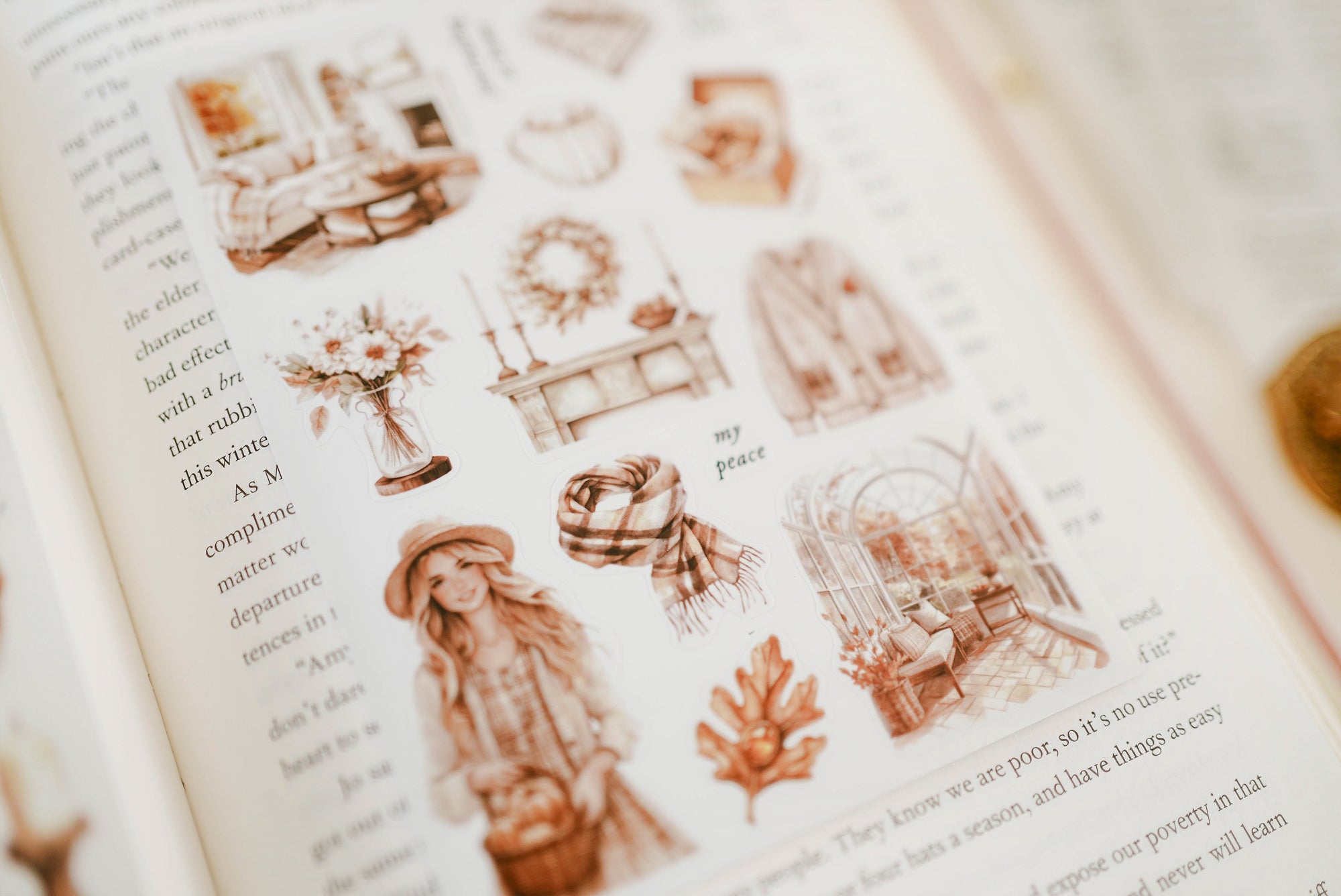 Transparent Stickers No. 55