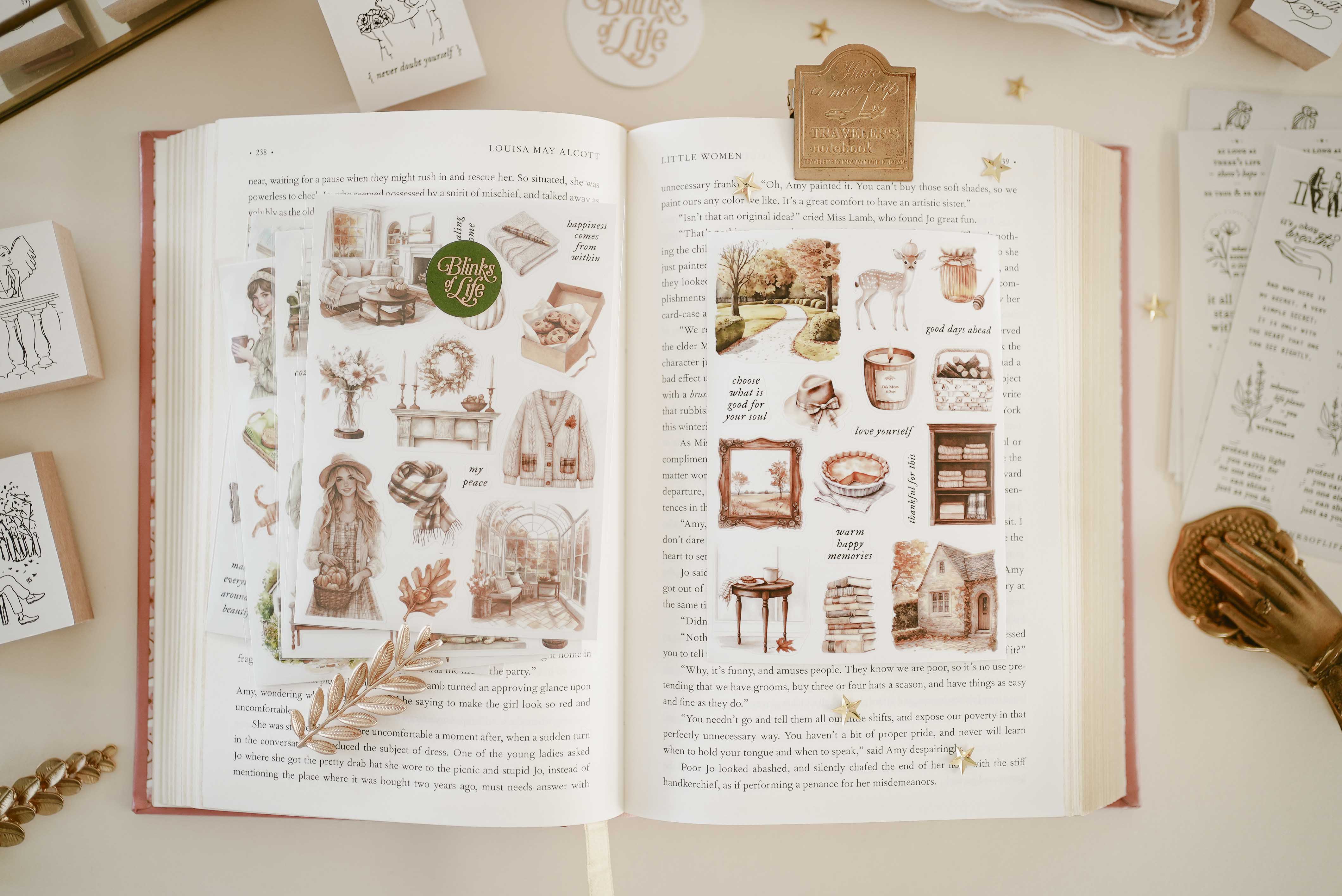 Transparent Stickers No. 57