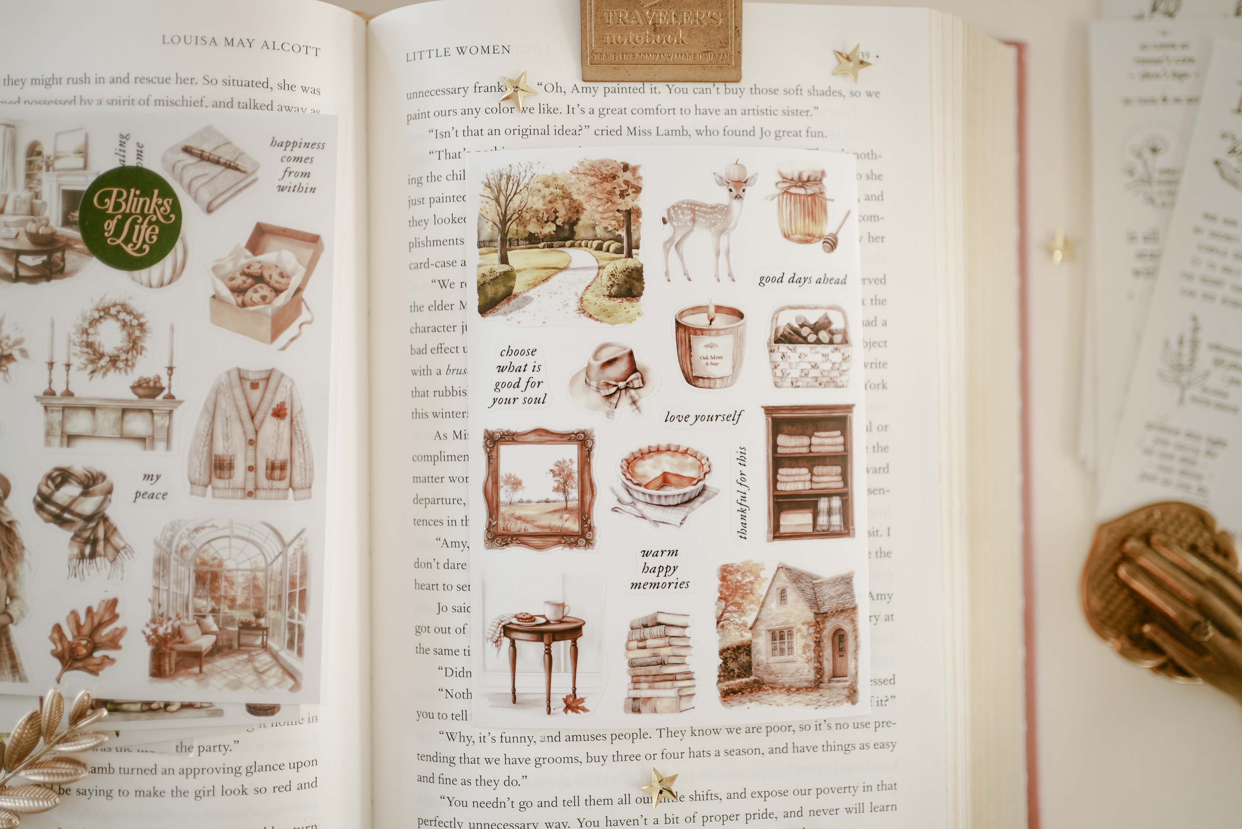 Transparent Stickers No. 57