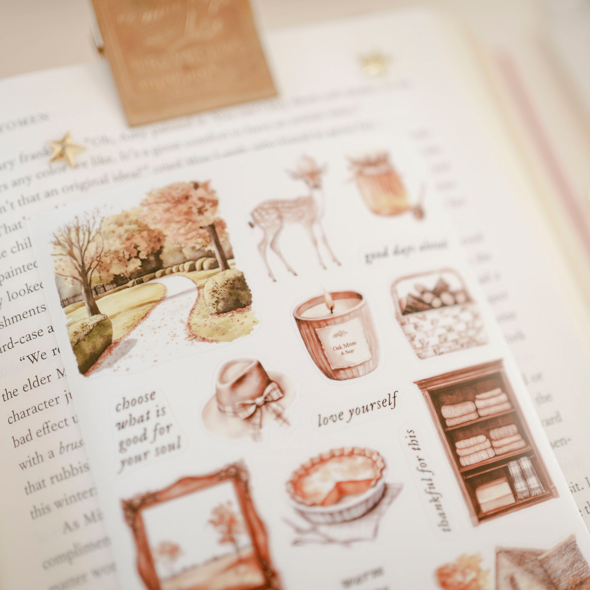 Transparent Stickers No. 57