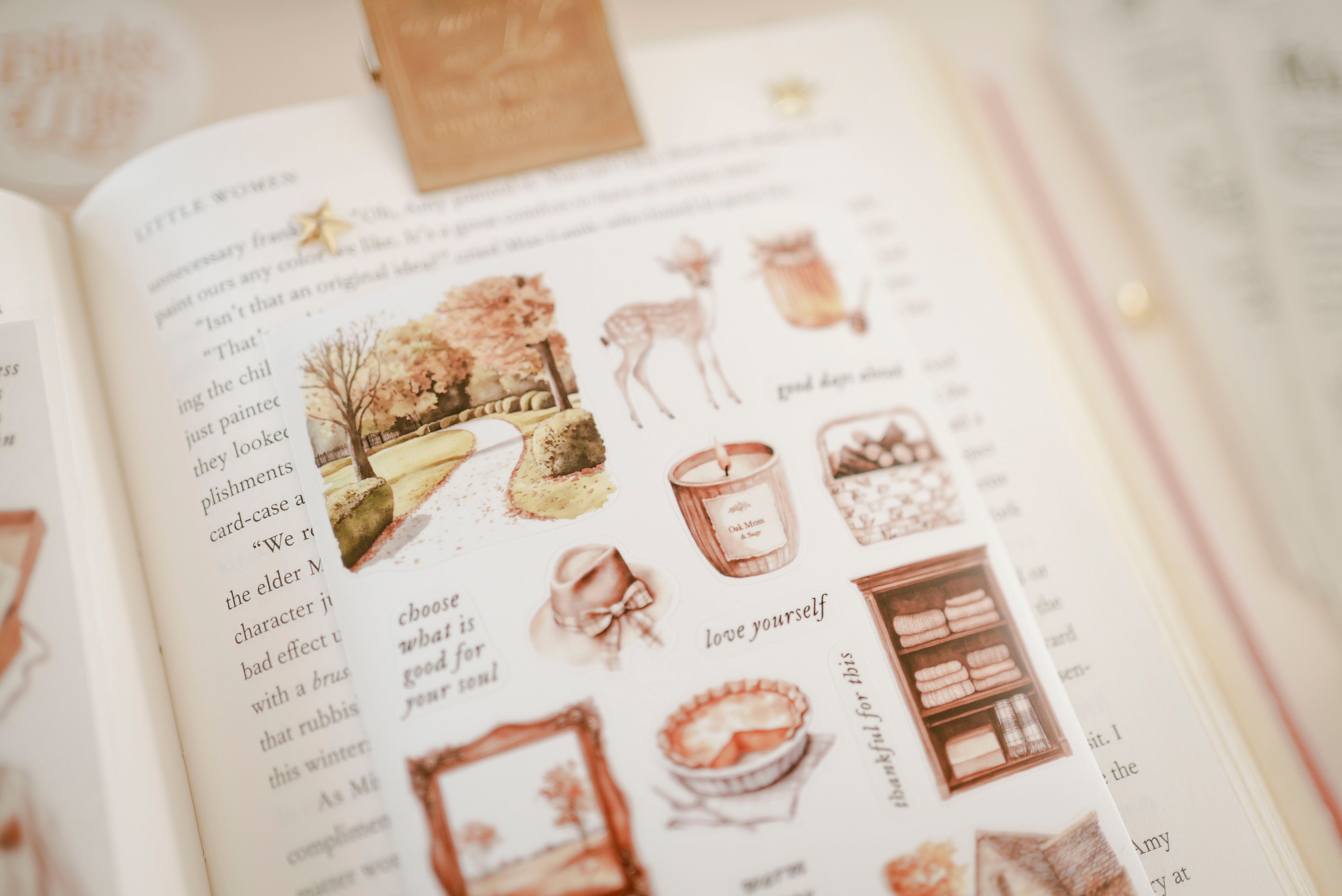 Transparent Stickers No. 57