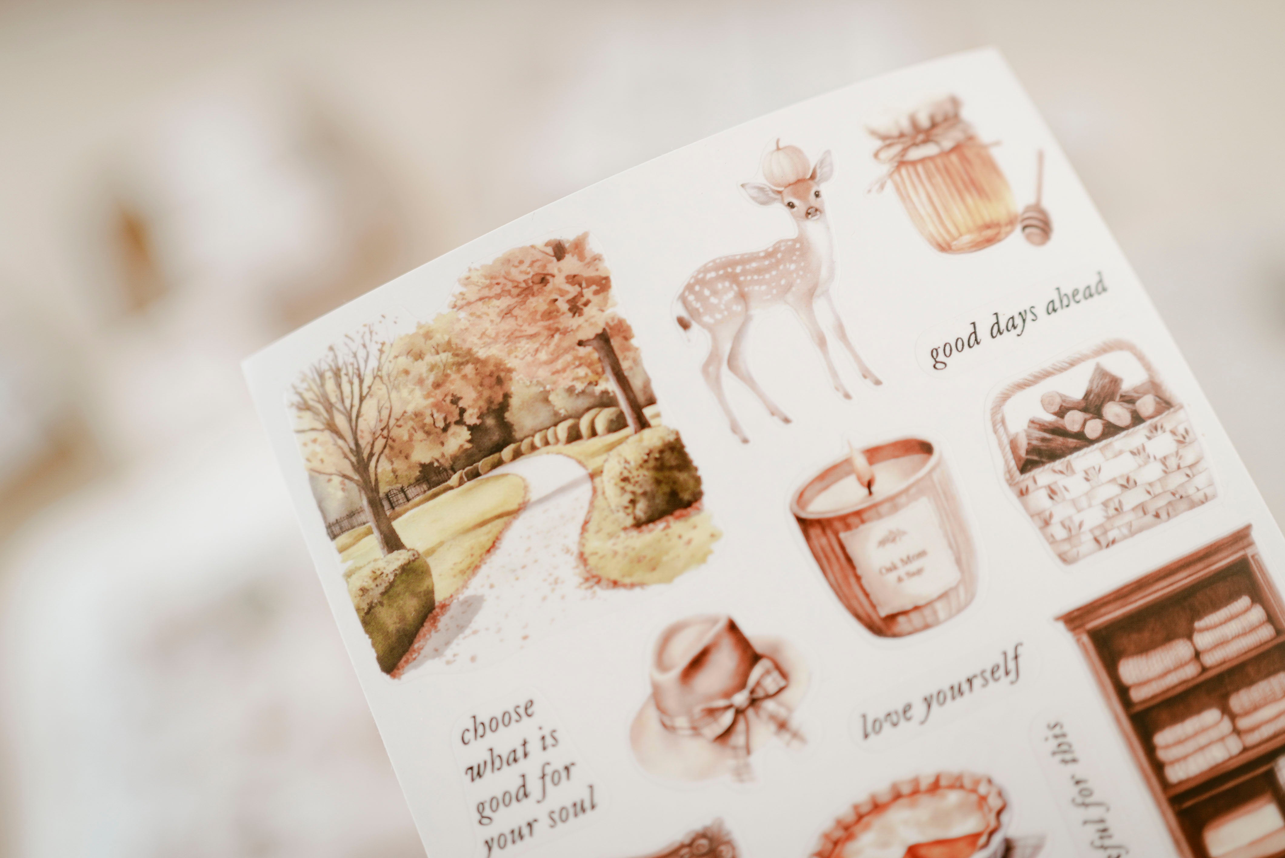 Transparent Stickers No. 57