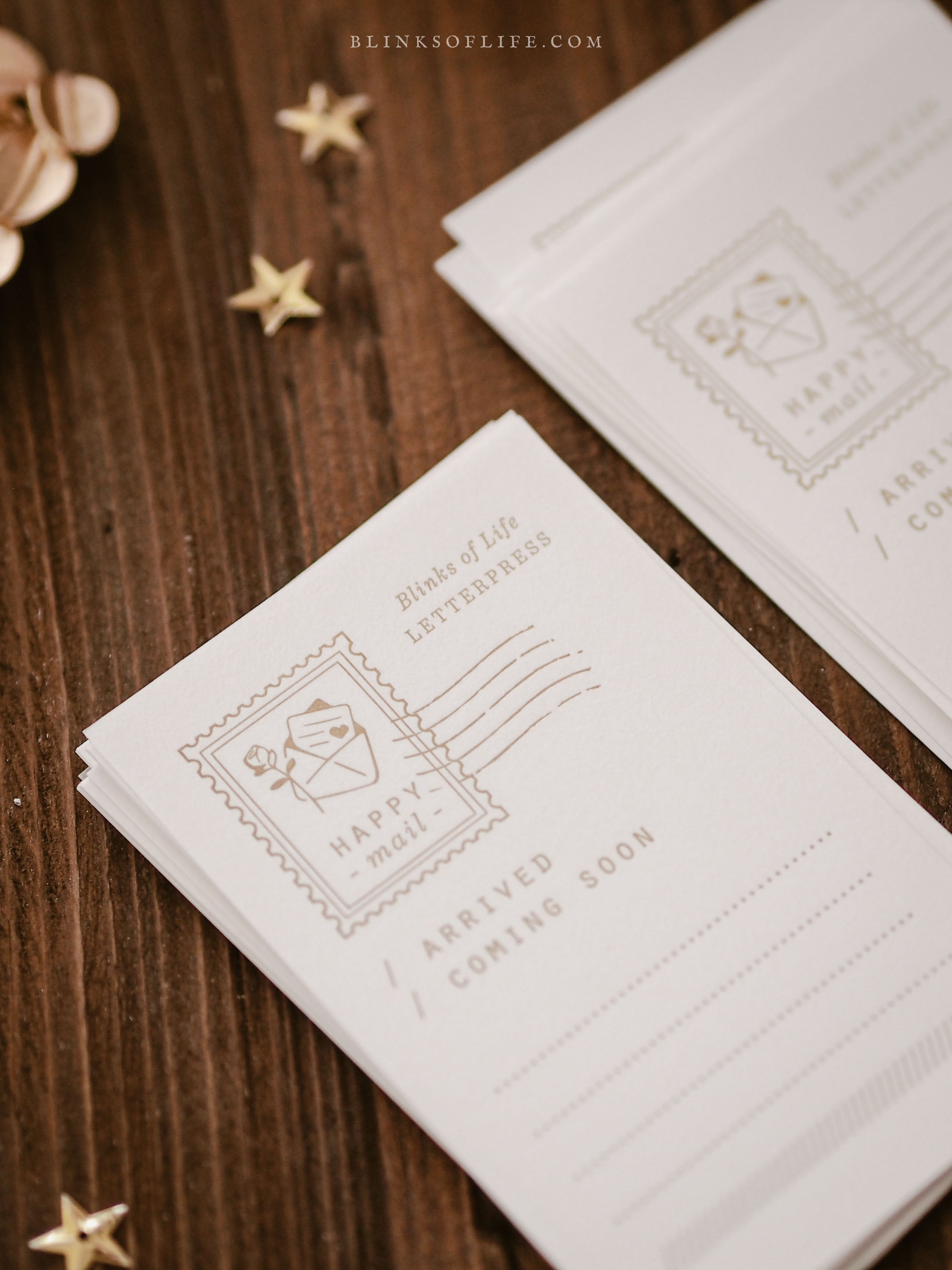 Blinks of Life - Letterpress Journal Cards