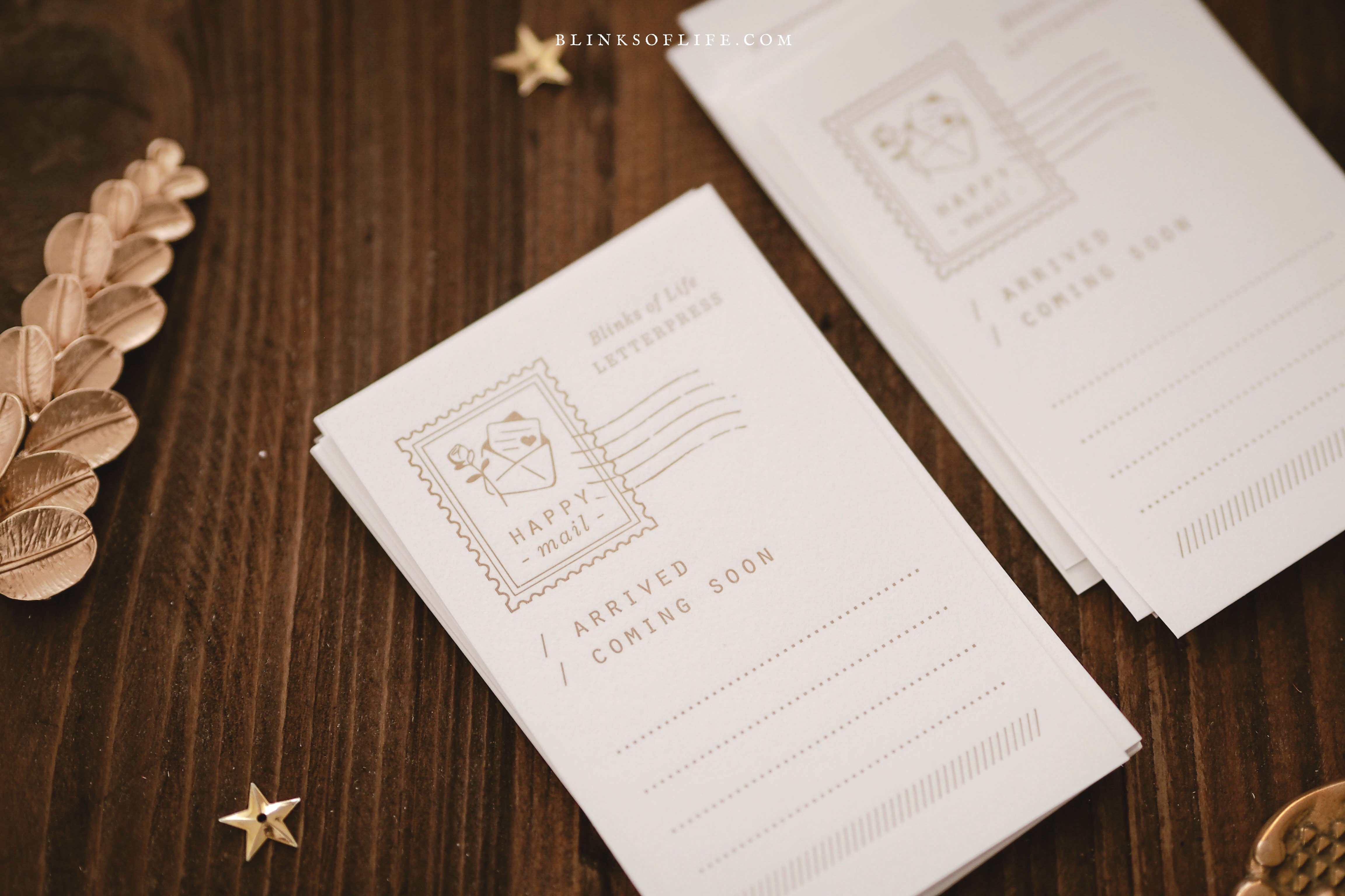 Blinks of Life - Letterpress Journal Cards