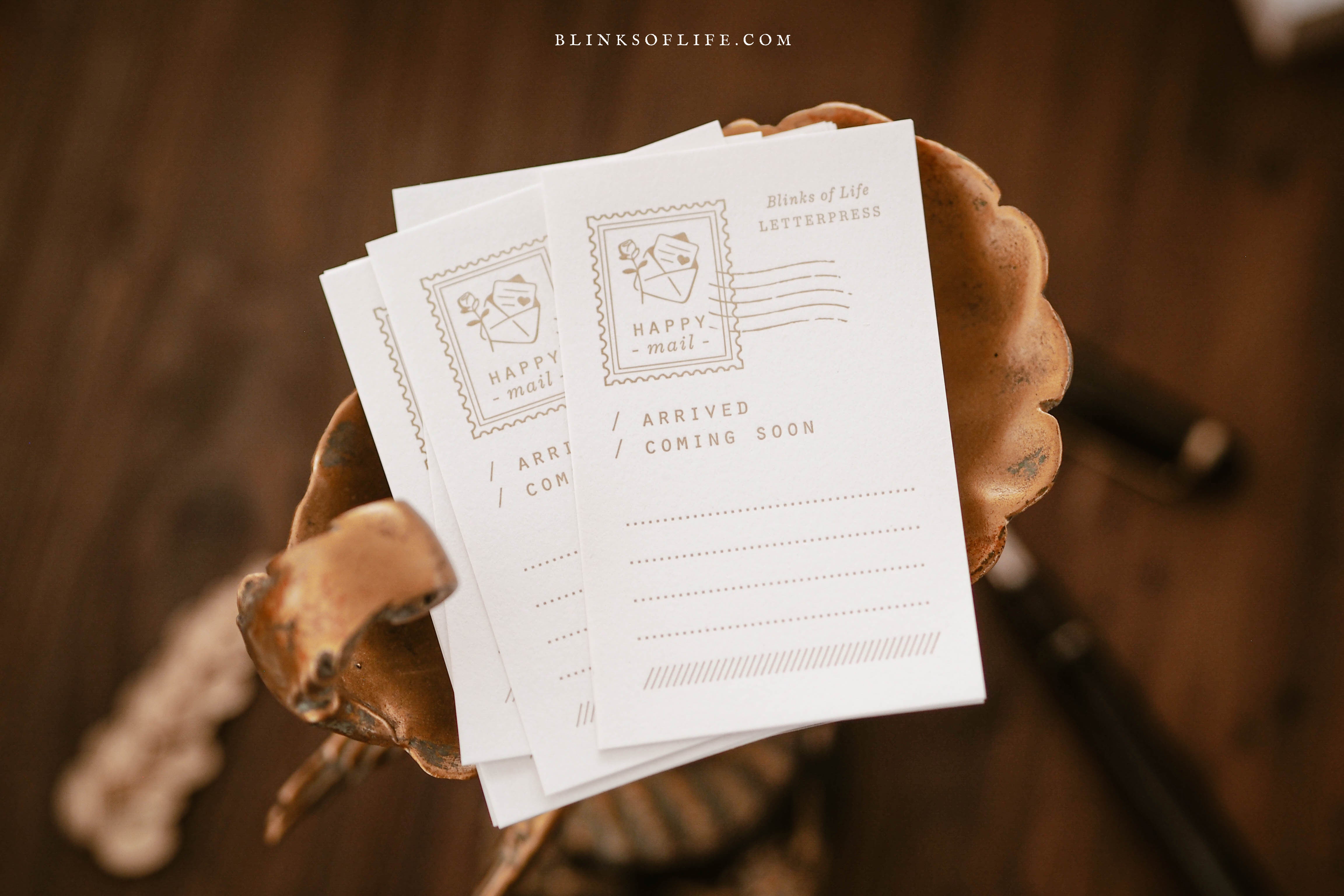 Blinks of Life - Letterpress Journal Cards